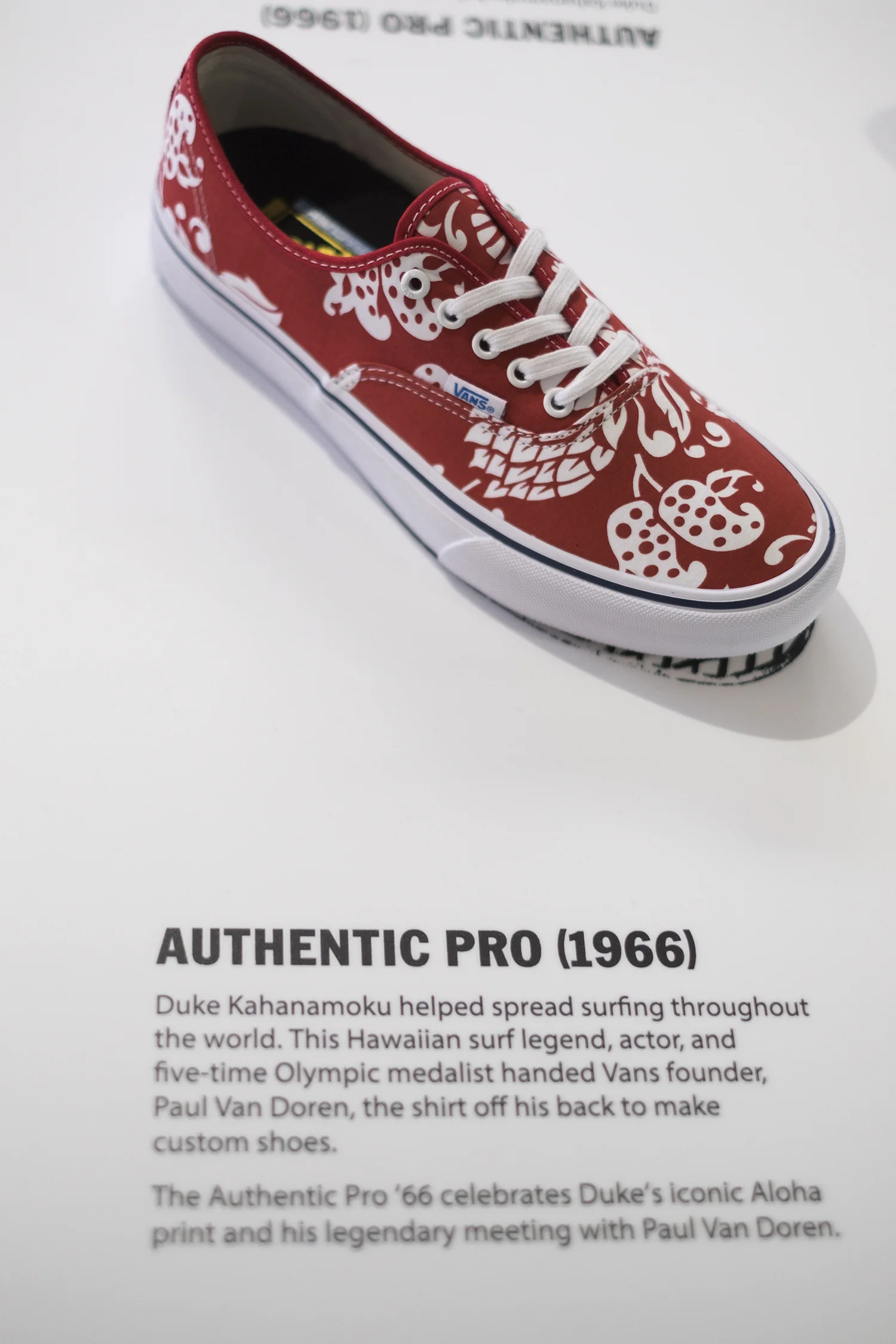 VANS 50th ANNIVERSARY GRAPHICS — STEVIE GEE