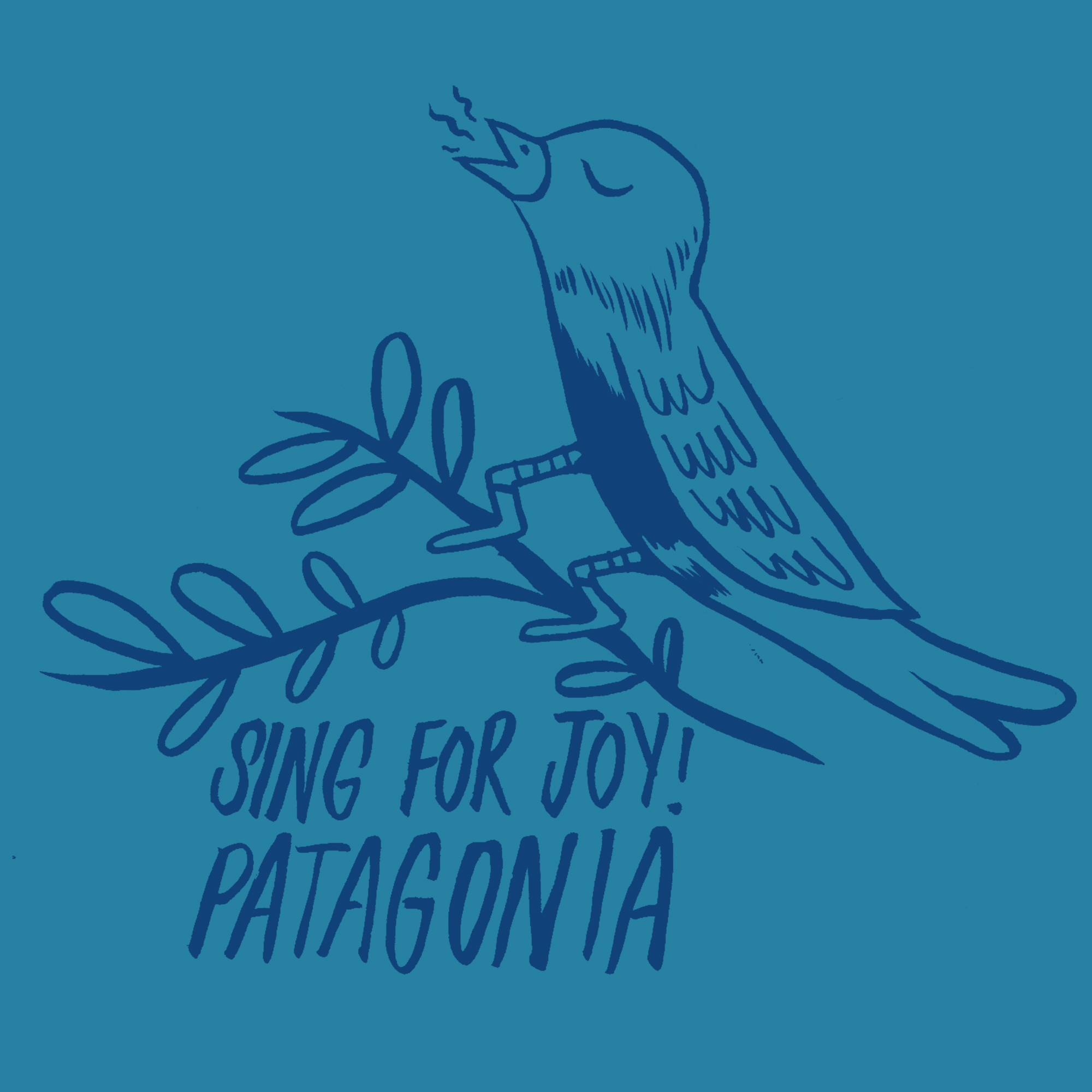 STEVIE_GEE_PATAGONIA_1.jpg