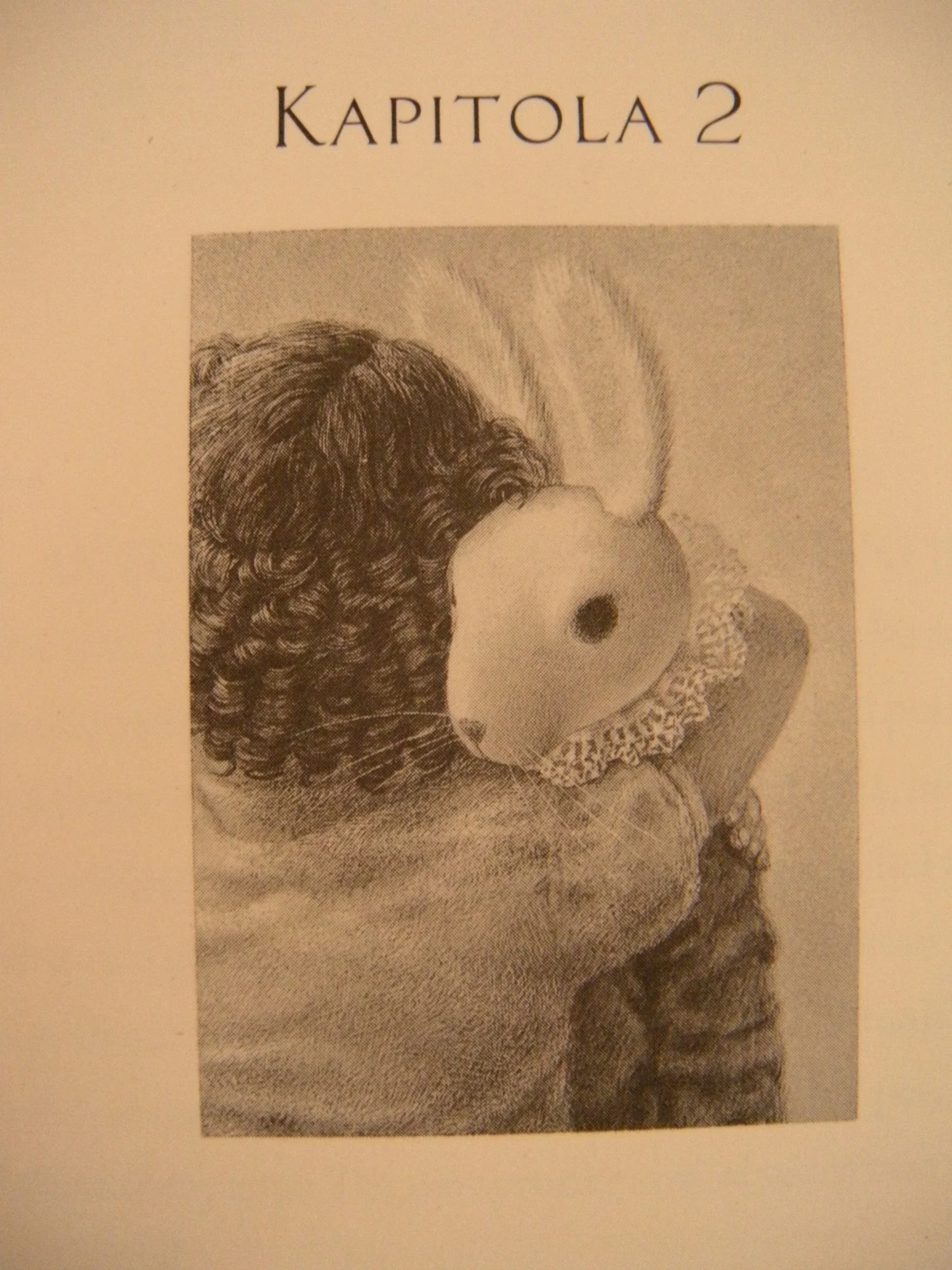 Kate DiCamillo - Eduard a jeho zázračná cesta