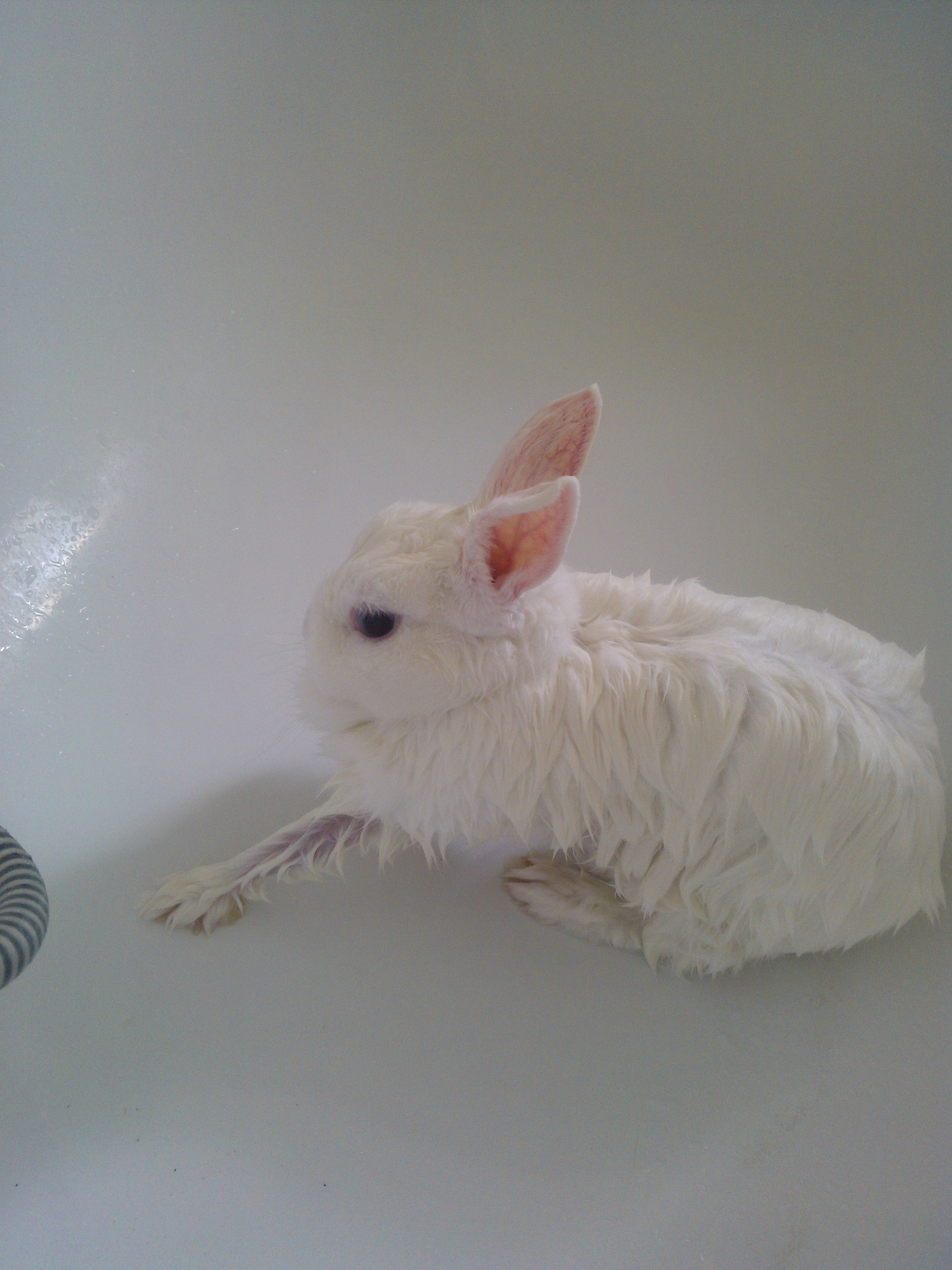 Hydratácia-kľúčik k tvojim šťastným bunkám