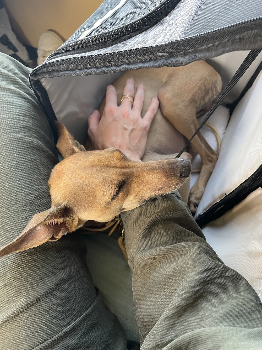 Ava si cestovanie vlakom užíva :)