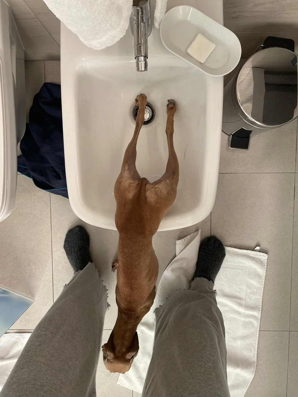 Polohy-ešteže som taká pružná. :)