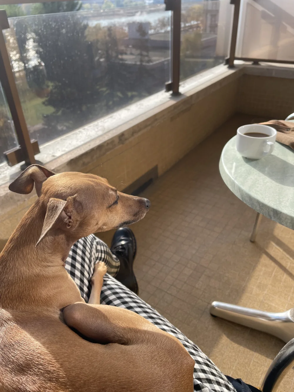 ..a vyhrievanie sa na slniečku.