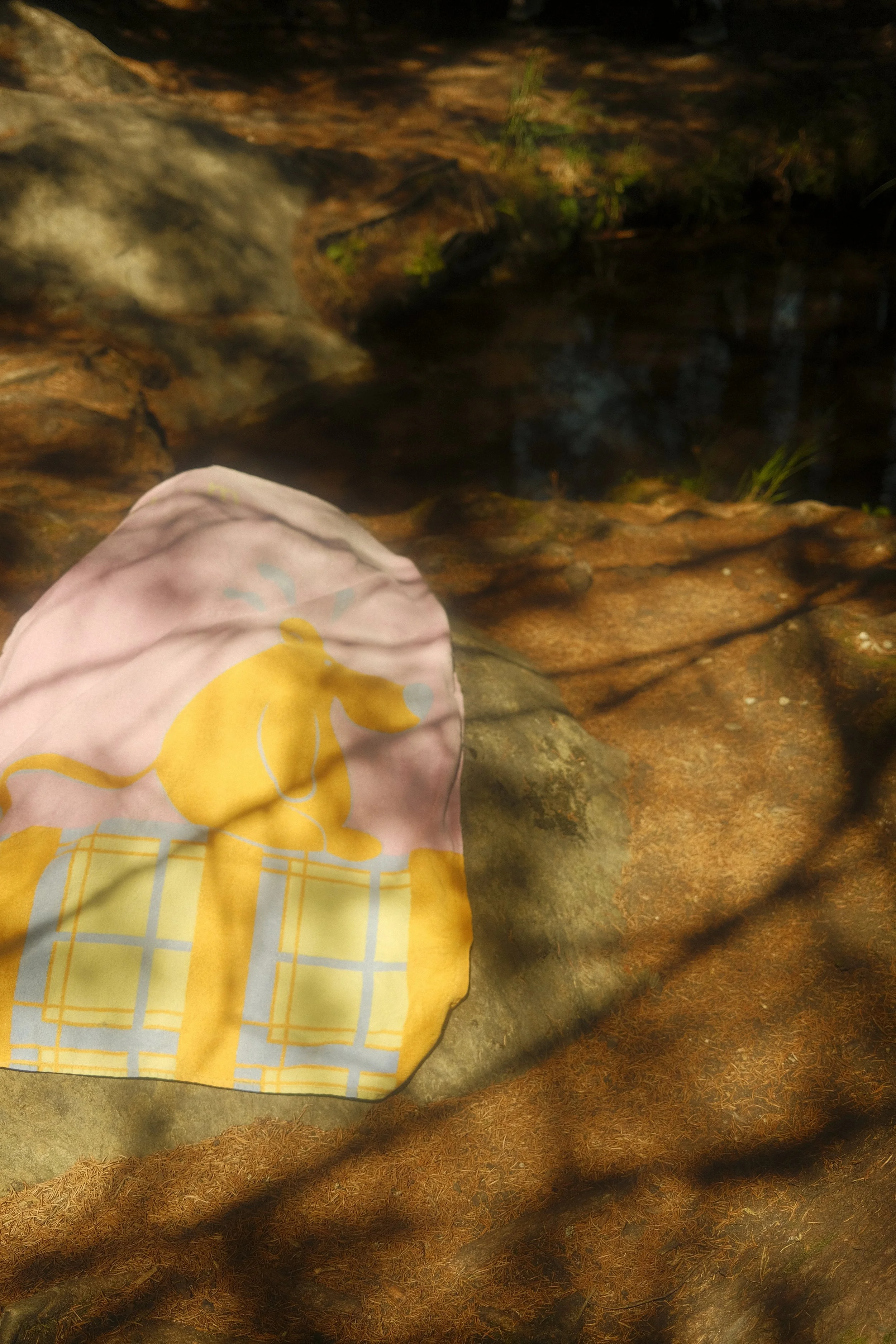_DSF3780.JPG