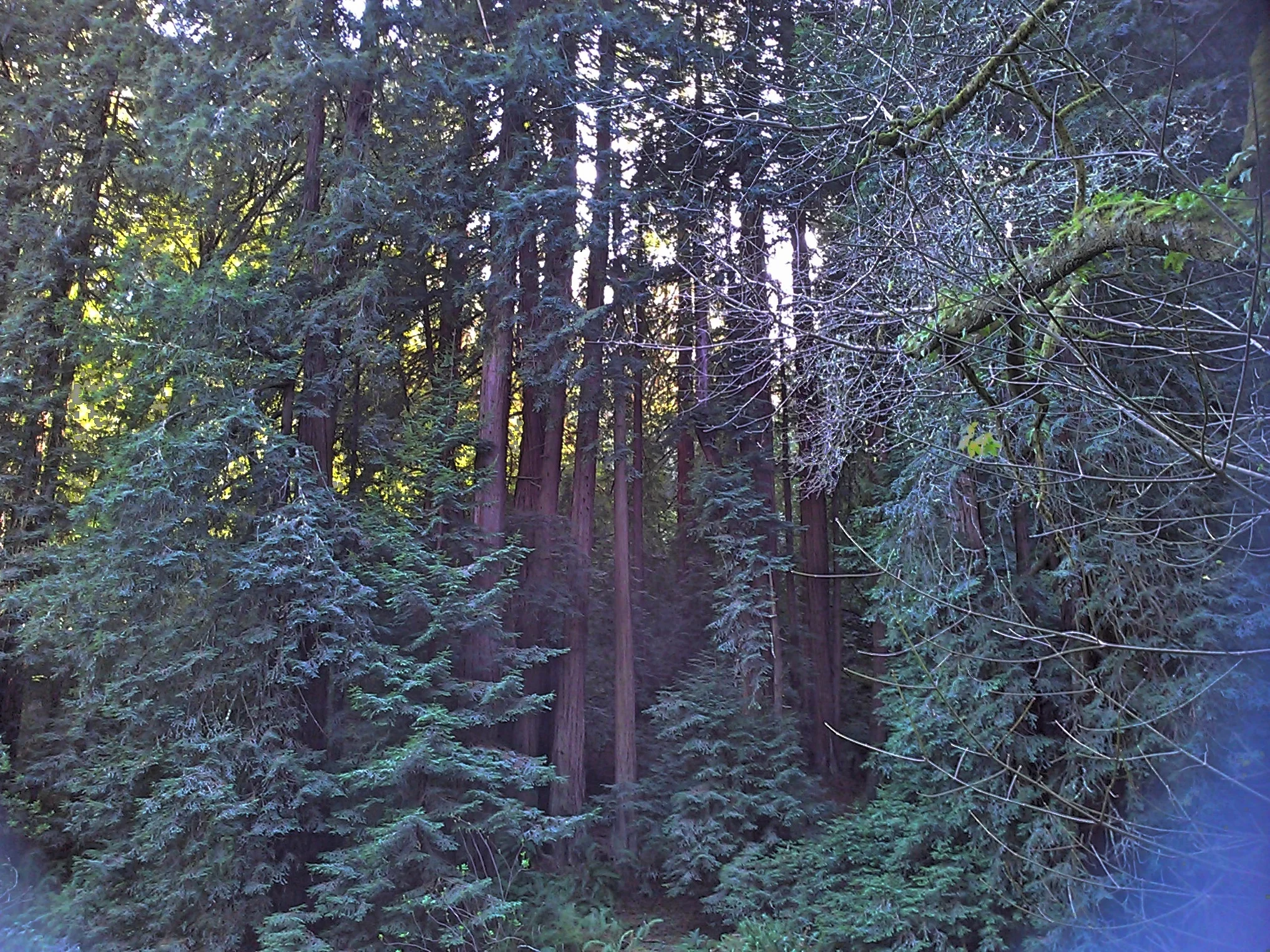 fotor_136218332503649.jpg