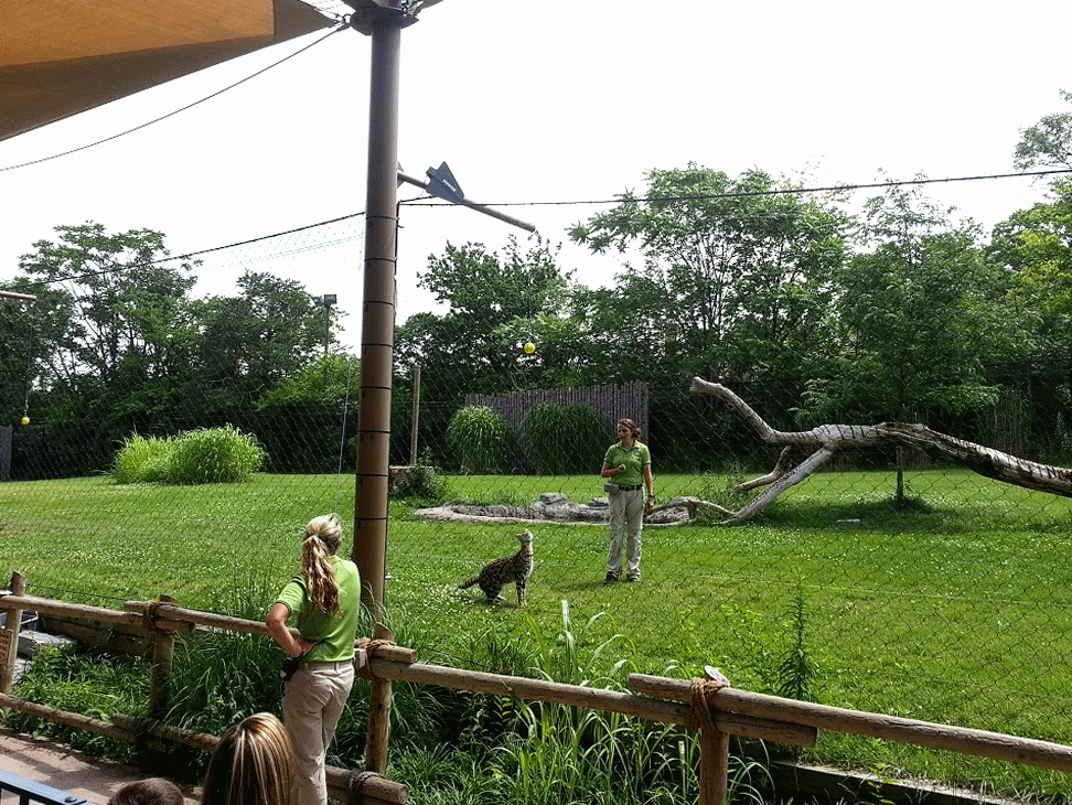 20130707_120746_1-MOTION.gif