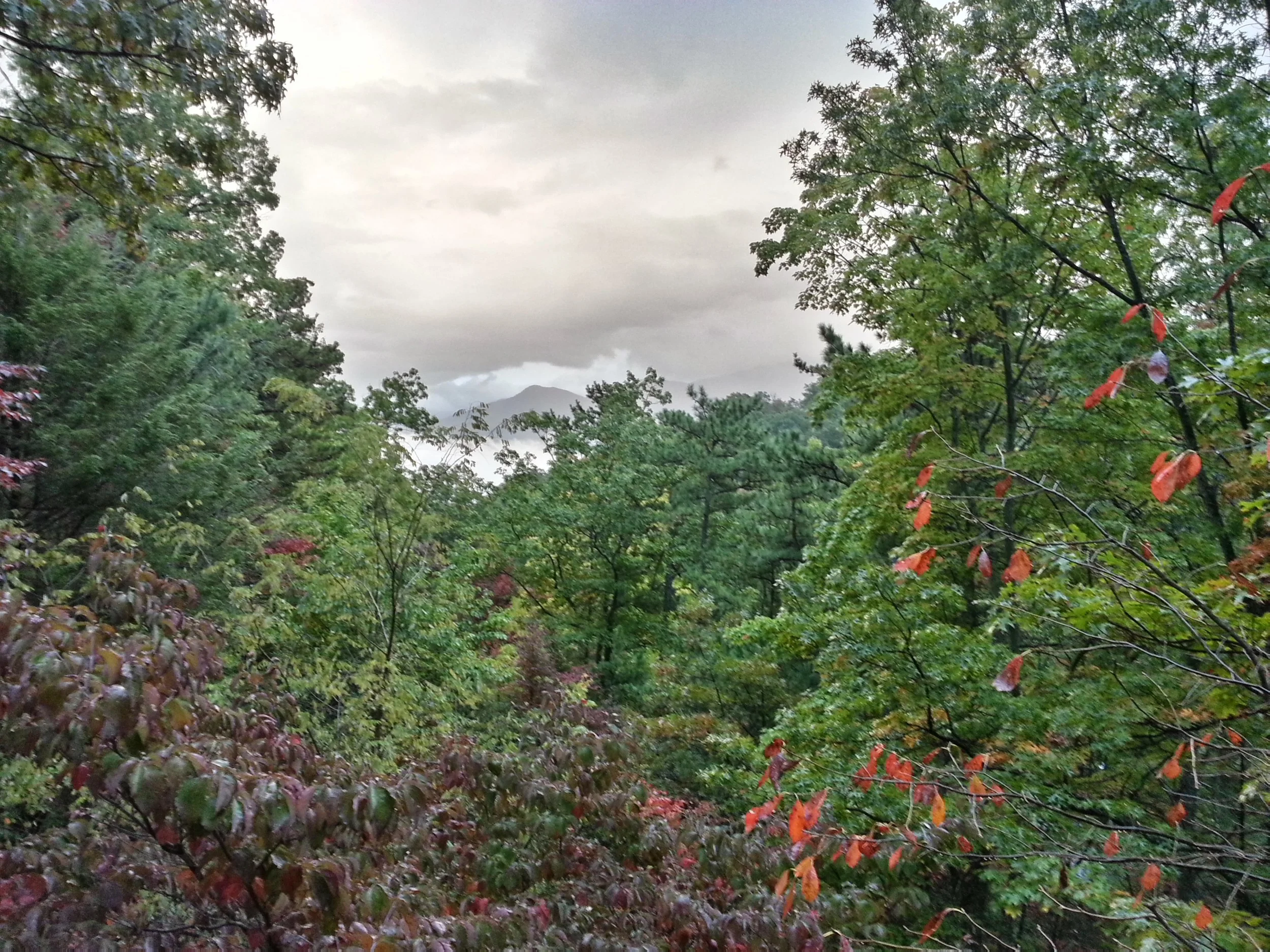 20131017_075703_HDR.jpg
