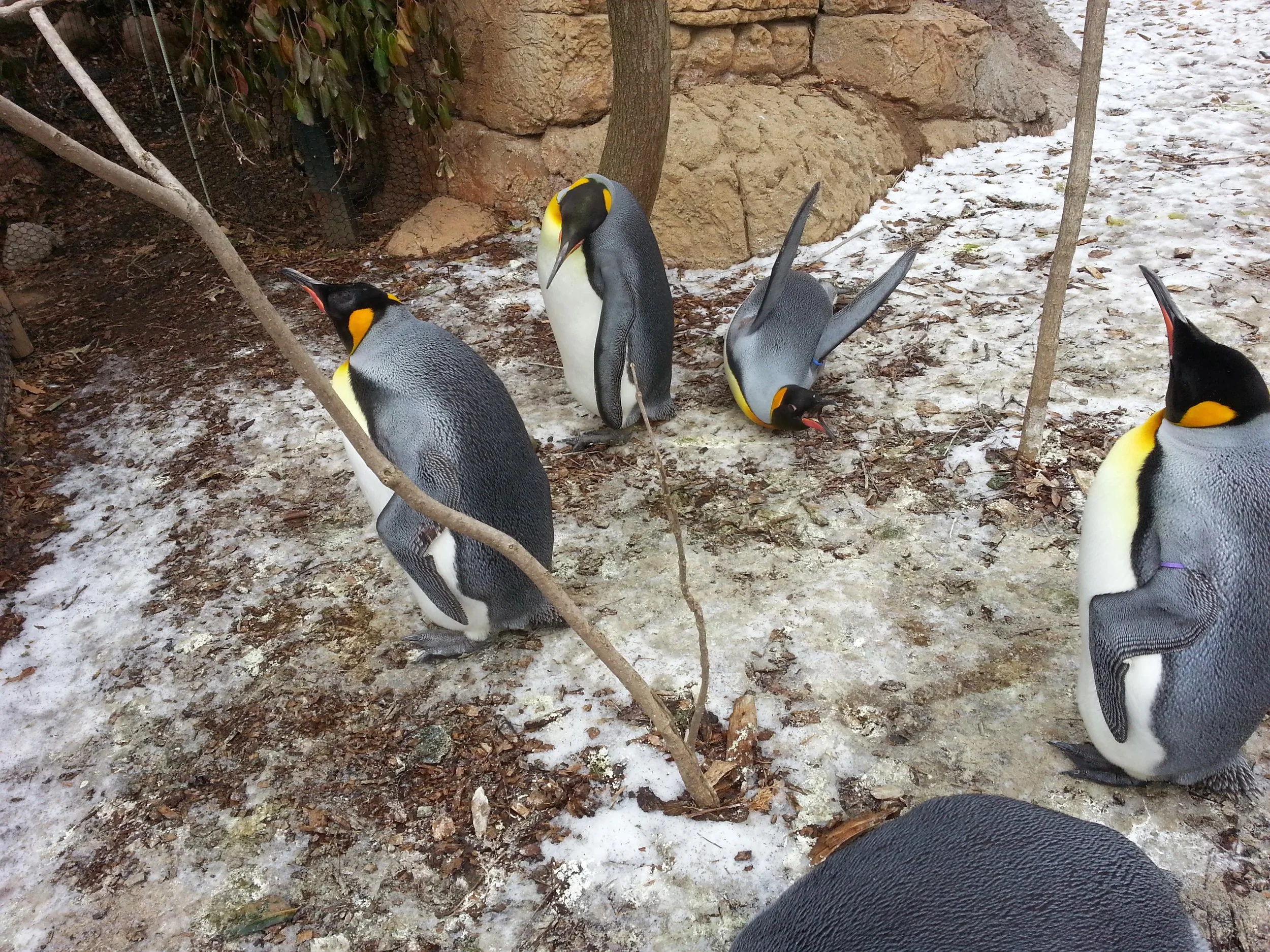 20140201_121842.jpg