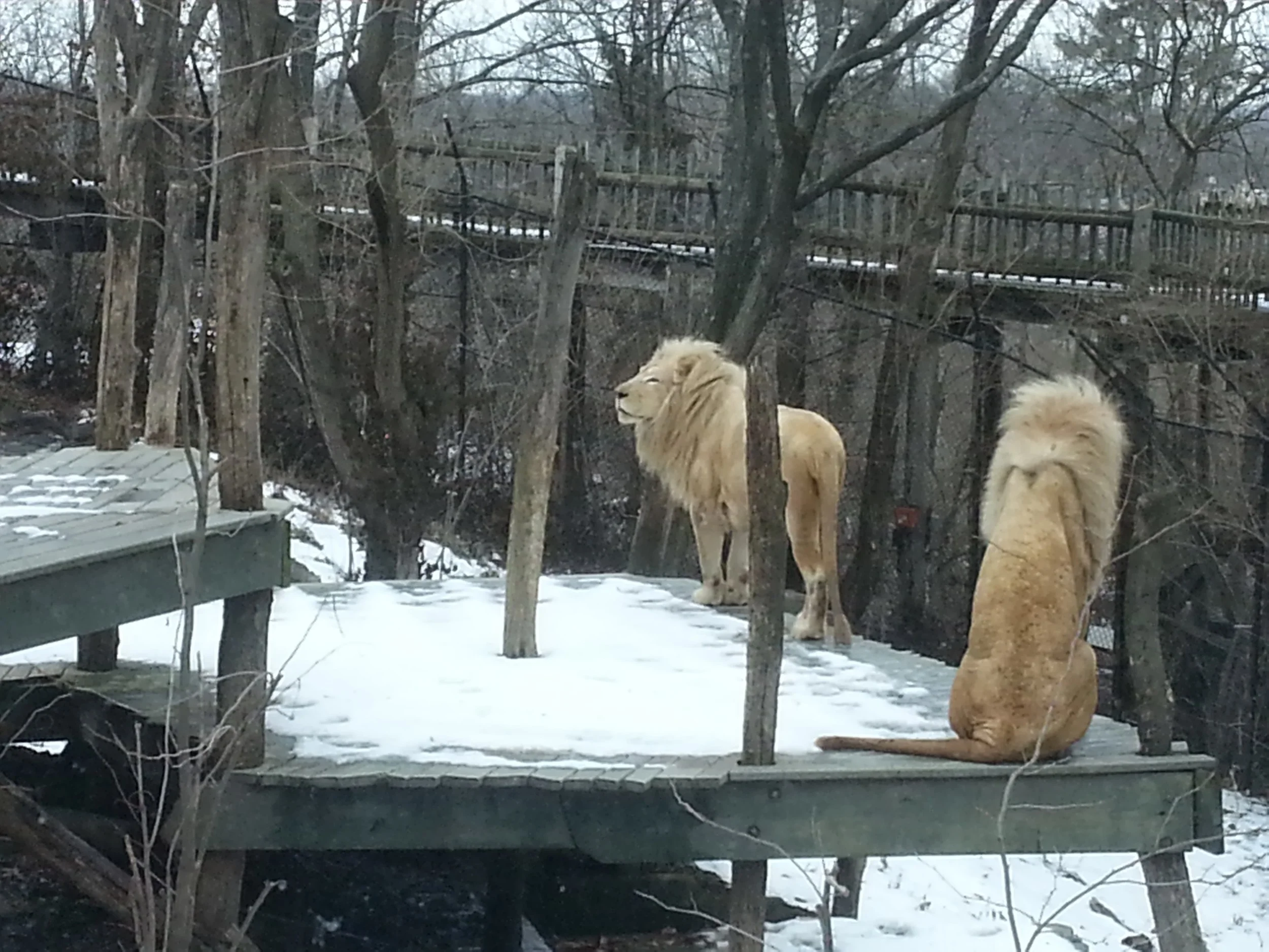 20140201_123728.jpg