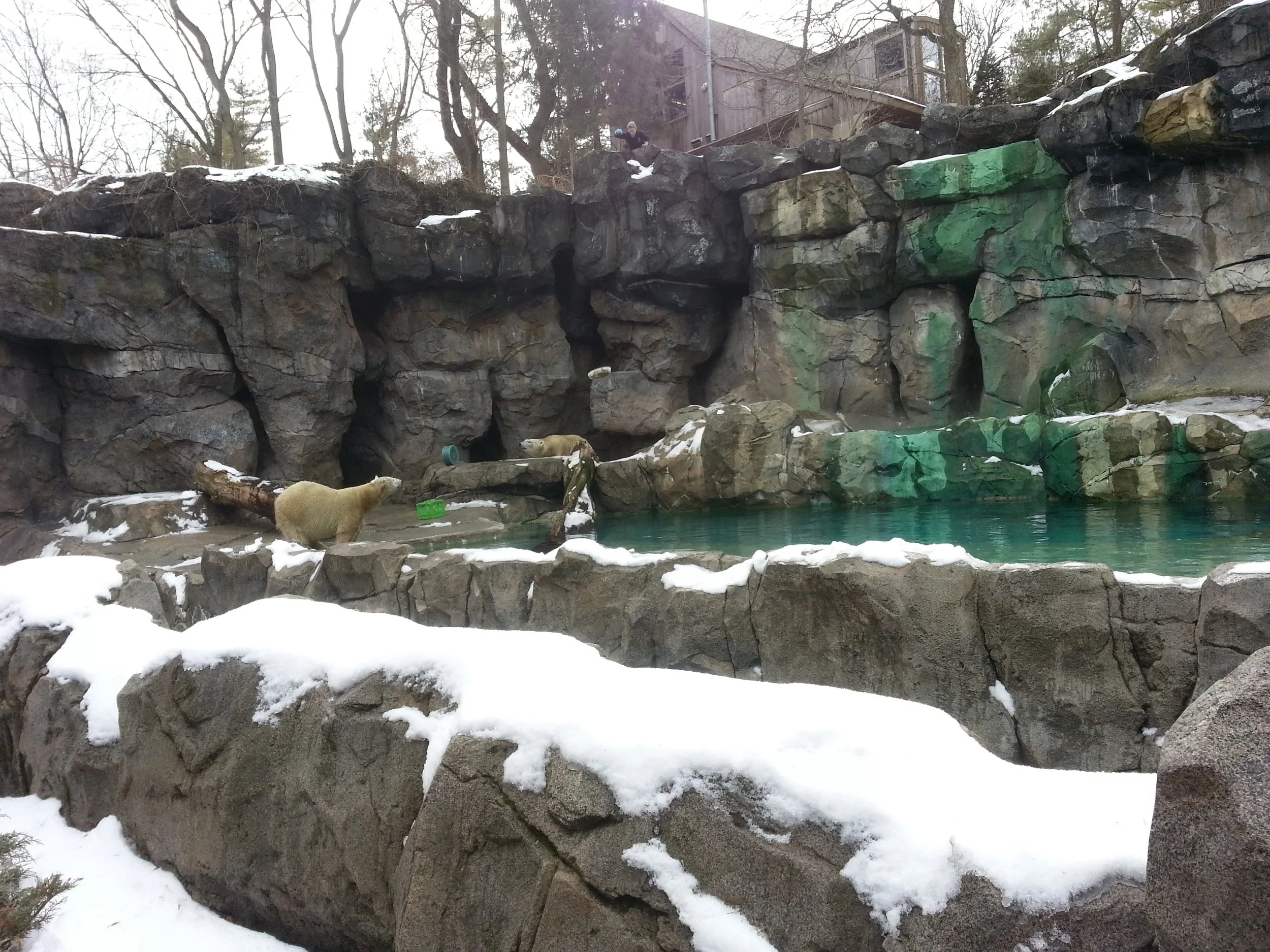 20140201_124736.jpg