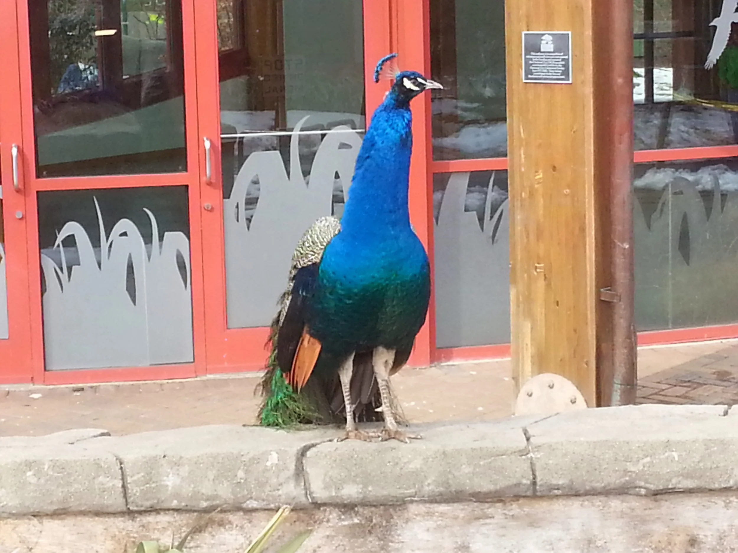 20140201_130112.jpg