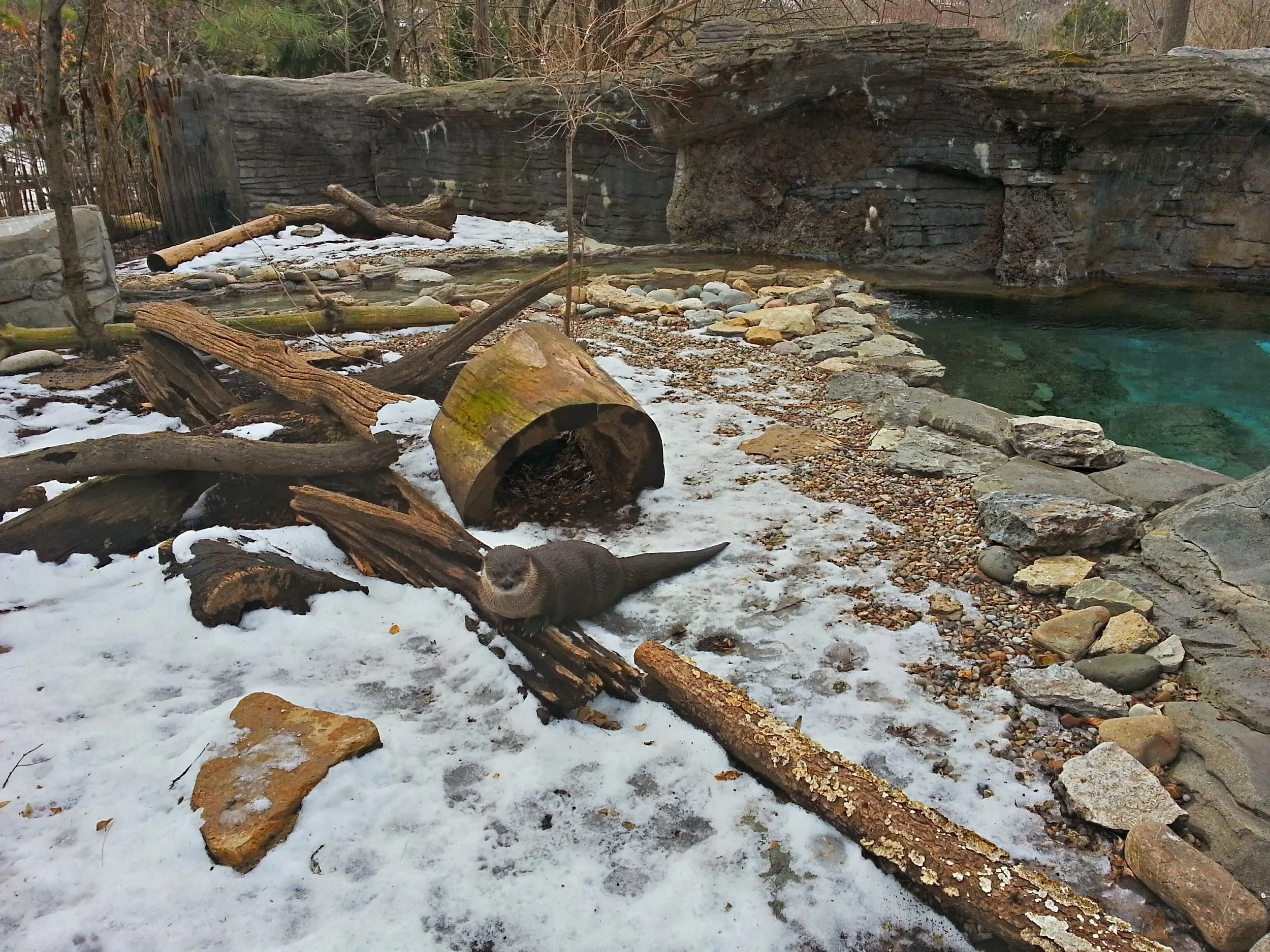 20140201_134048_HDR.jpg