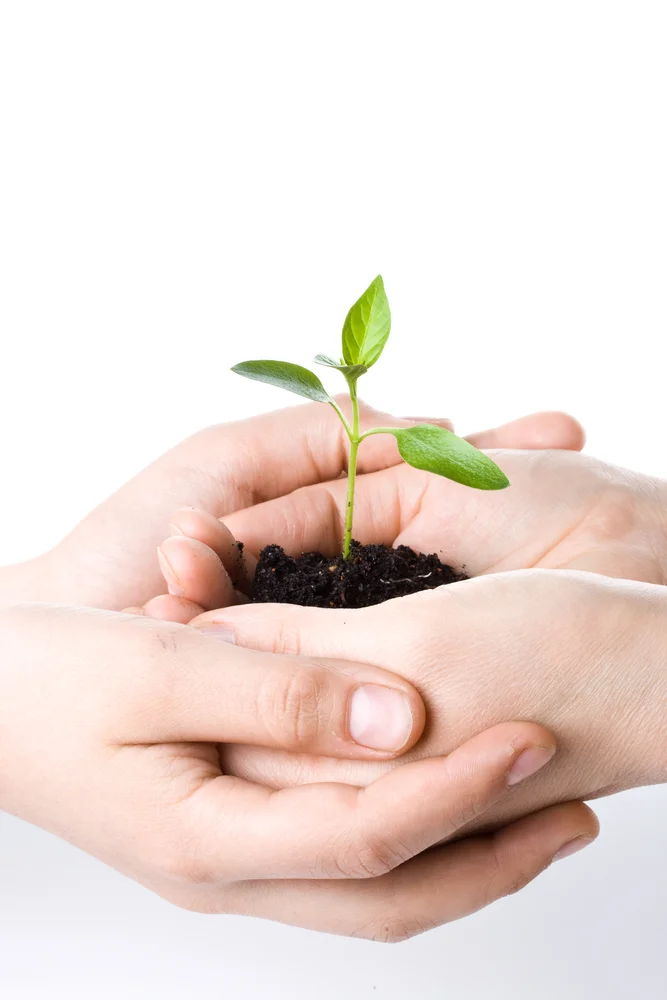 shutterstock_14484352.jpg