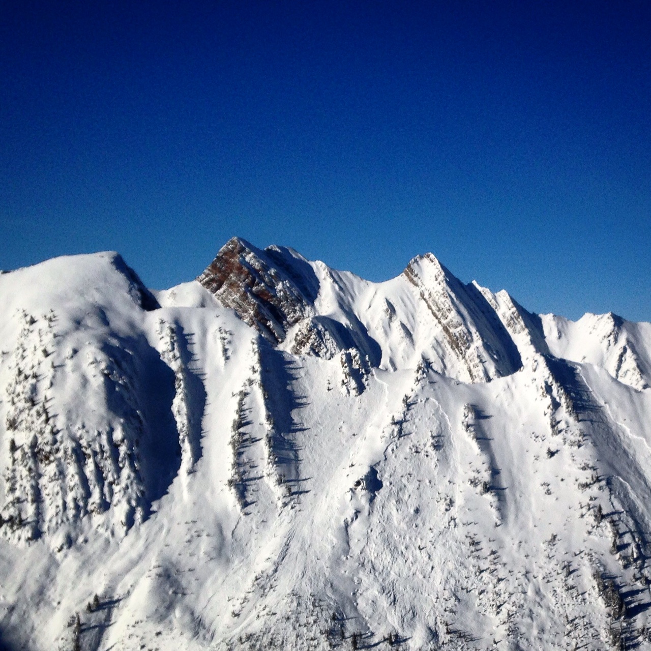 Golden's Dogtooth Range in winter.