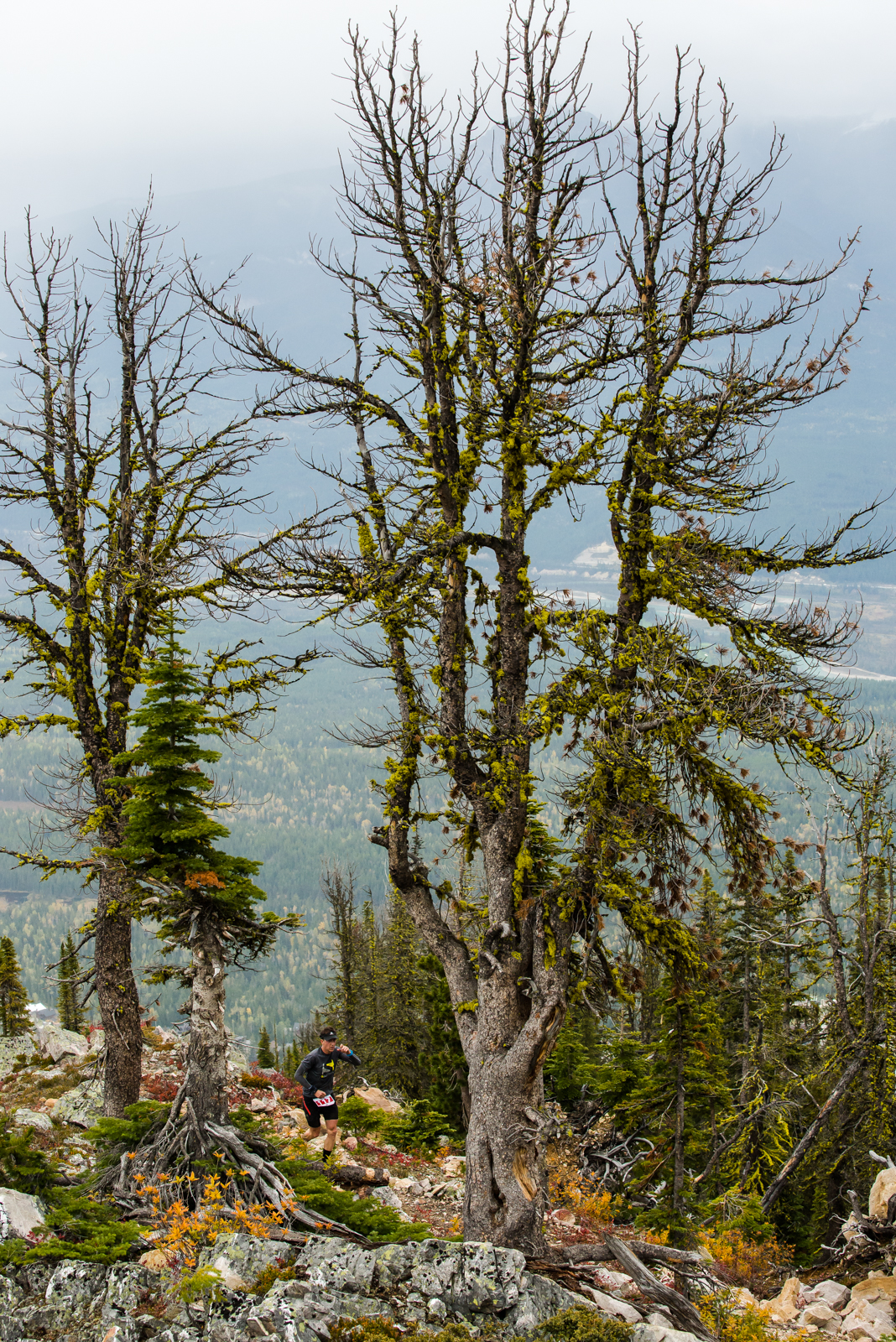 A scene from the upper reaches of the Blood.