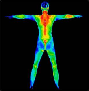 body.jpg