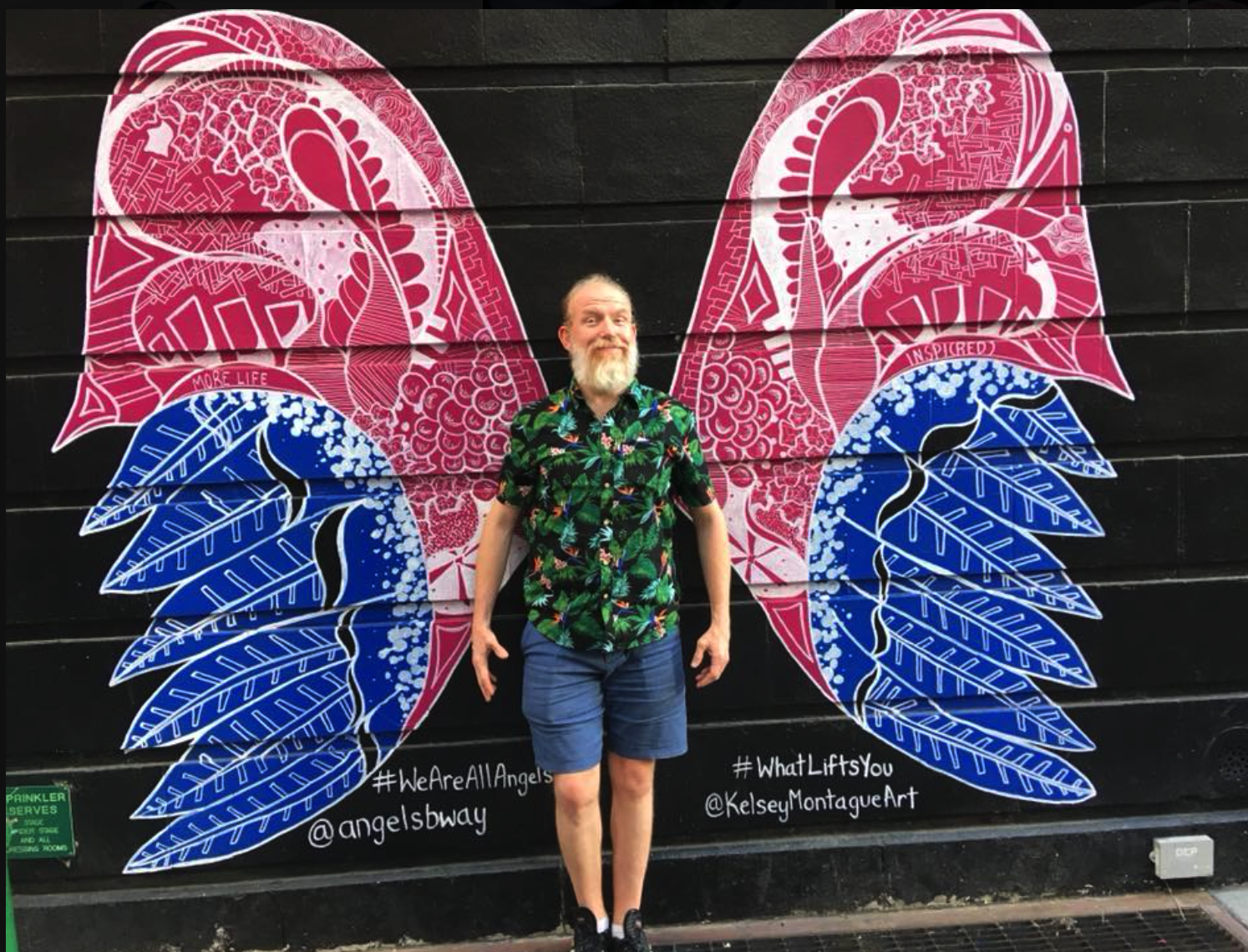 Butterfly.png