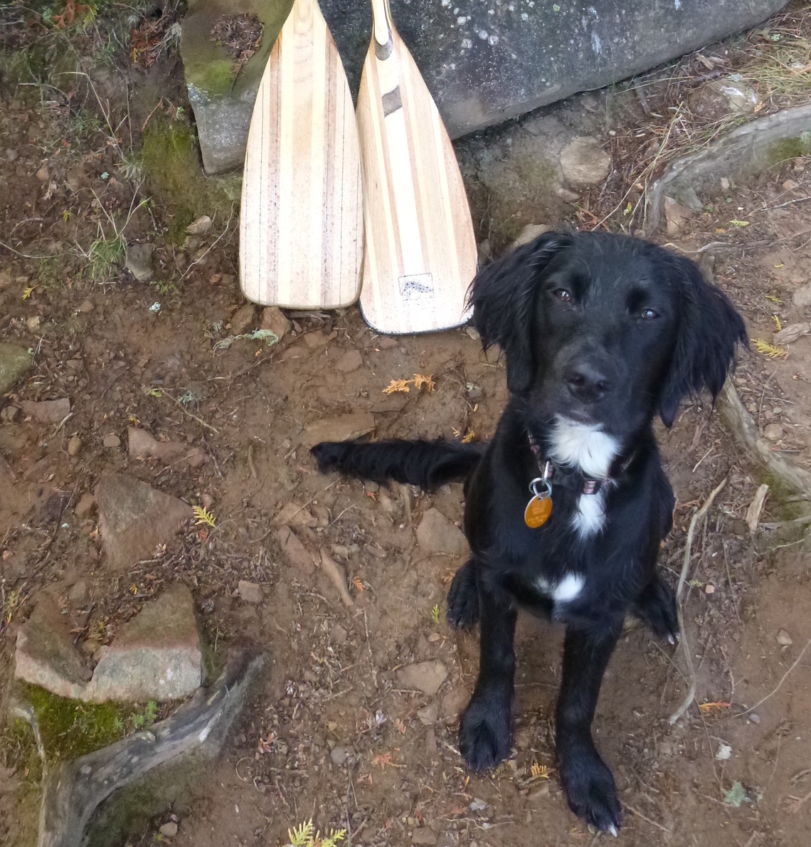 June's First Canoe Trip.JPG