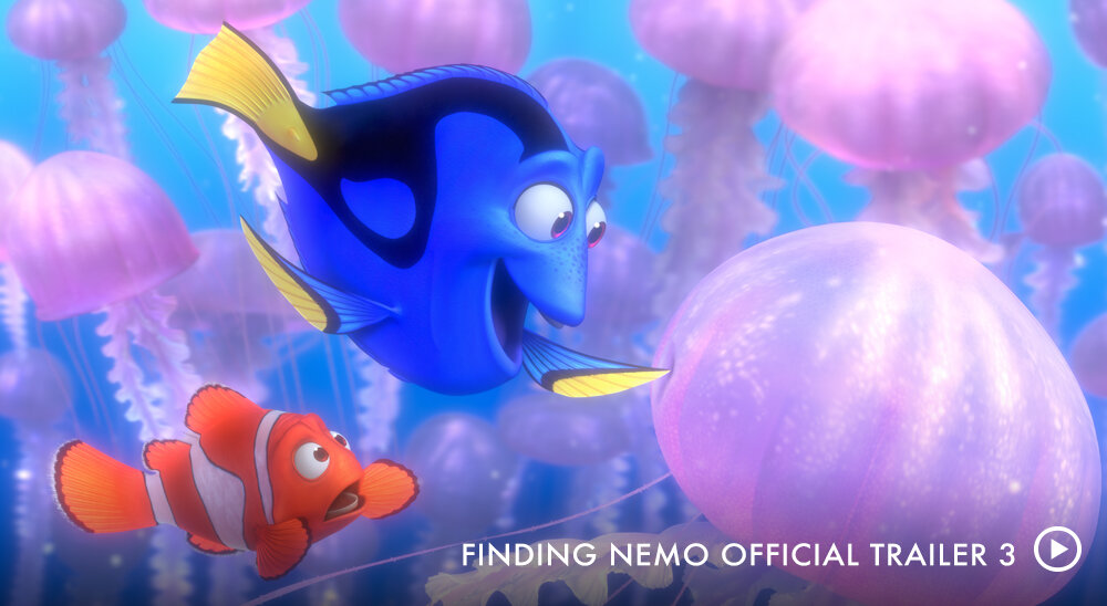 Nemo finding ‘Finding Nemo’