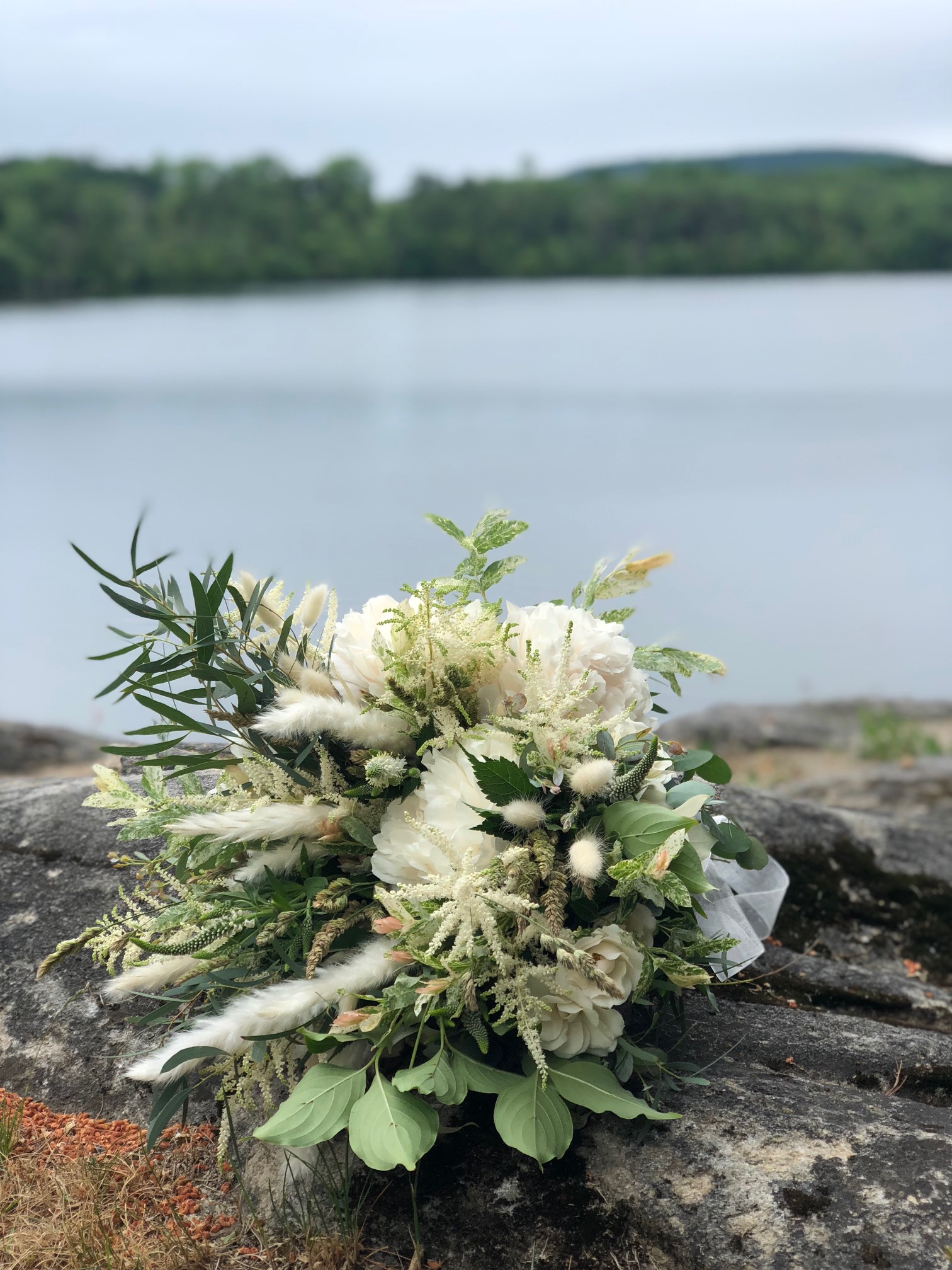 Tara Consolati Events