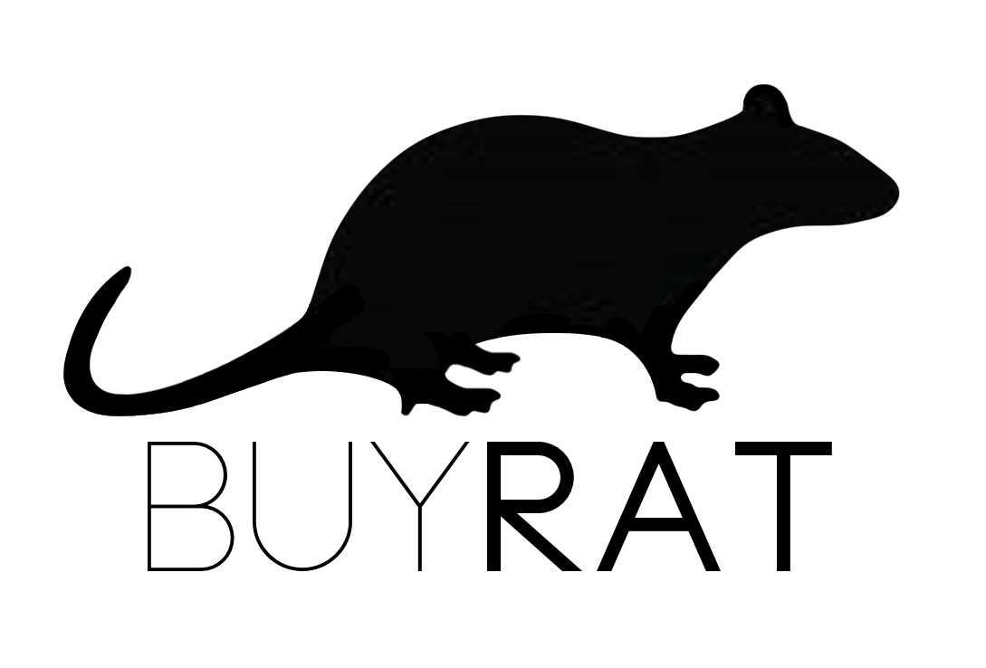  potential logo and branding for  buyrat.com  