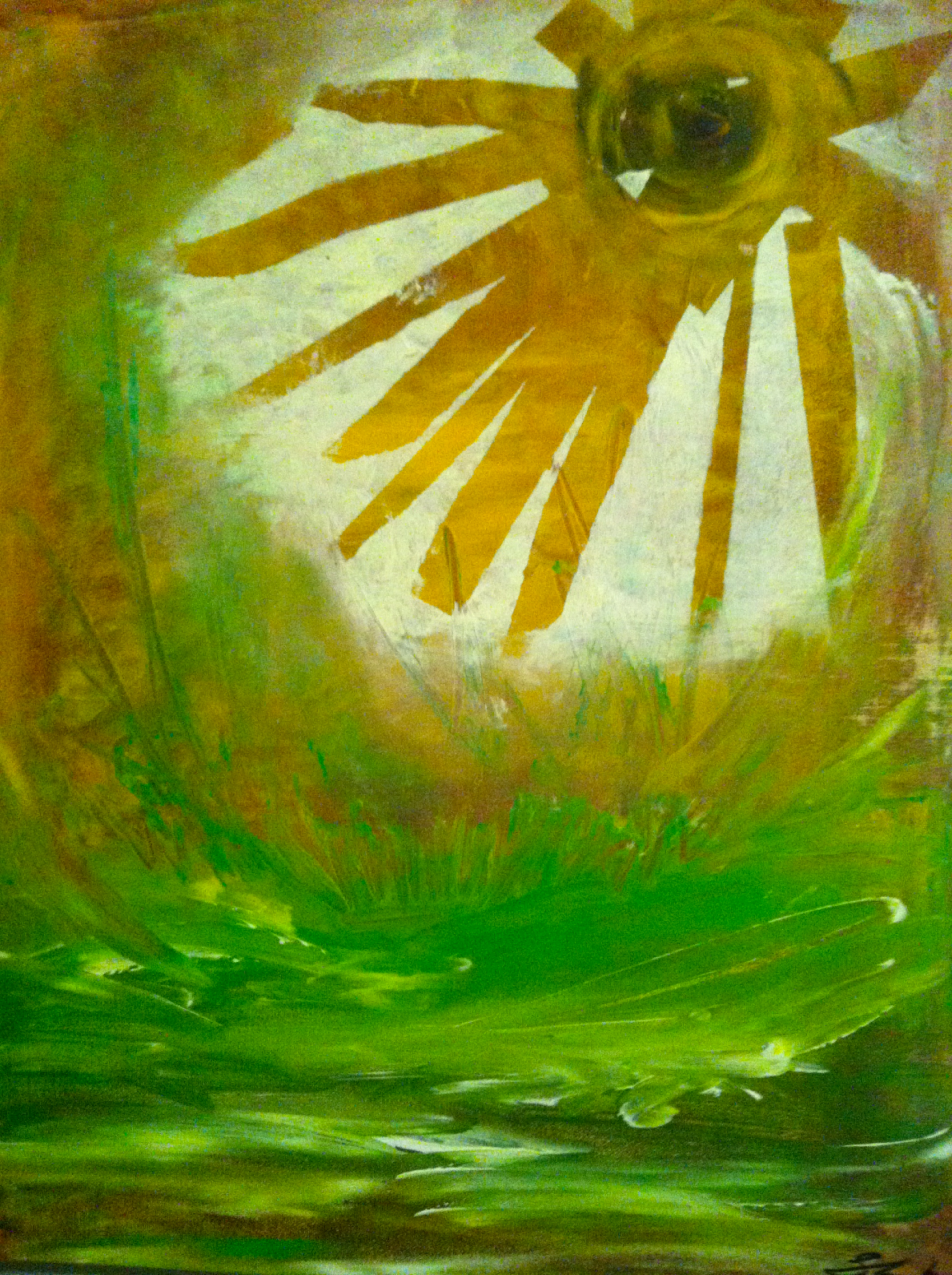 Sun
