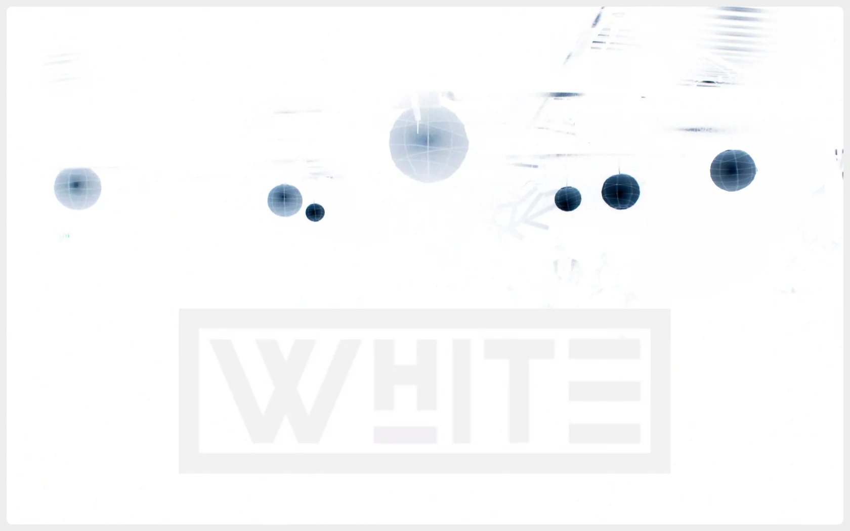 White 2.jpg