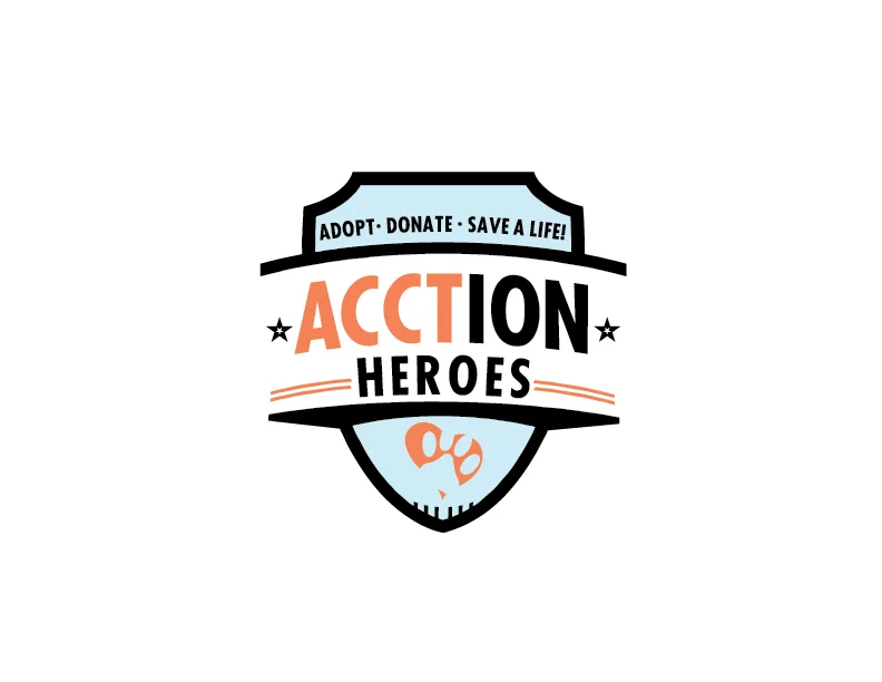 AcctionHero_Logo_Final_Color-01.jpg