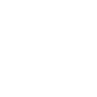 brooklyn bike.png