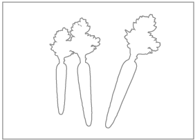 about.nutrition.icon.2.png