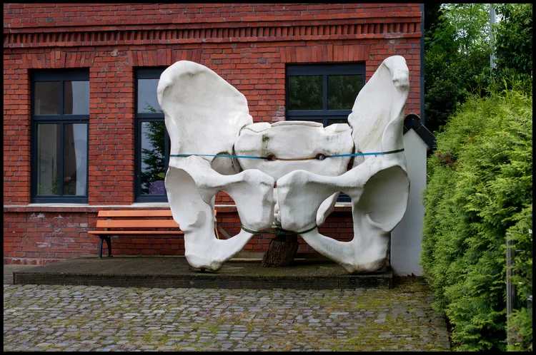 HOW TO FIX MAJOR EXERCISE ERRORS: CORE POSITIONING