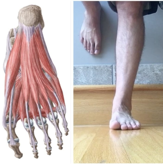 TODAY'S EDGE: WHAT'S HAPPENING AT YOUR FEET AND TOES CAN MAKE OR BREAK YOUR PERFORMANCE.