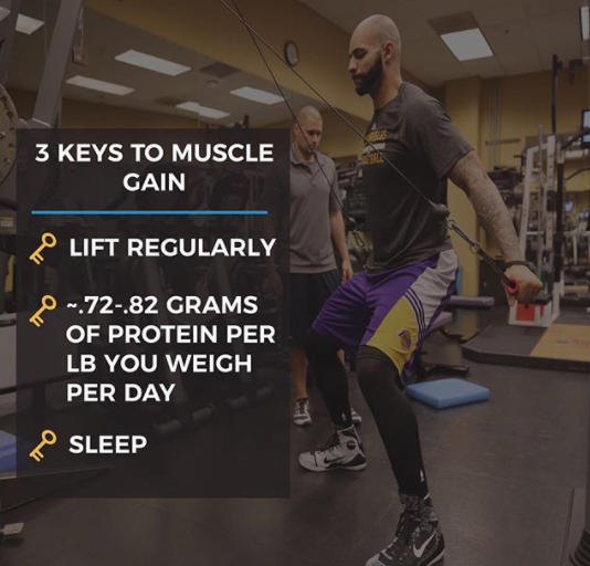 3 KEYS TO GAIN MUSCLE