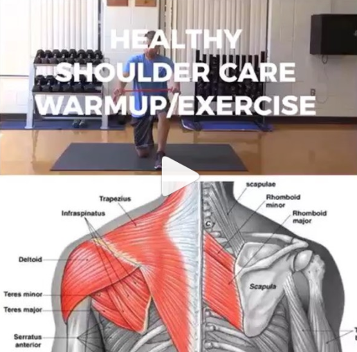 TODAY'S EDGE: HALF KNEEL BAND PULL APARTS