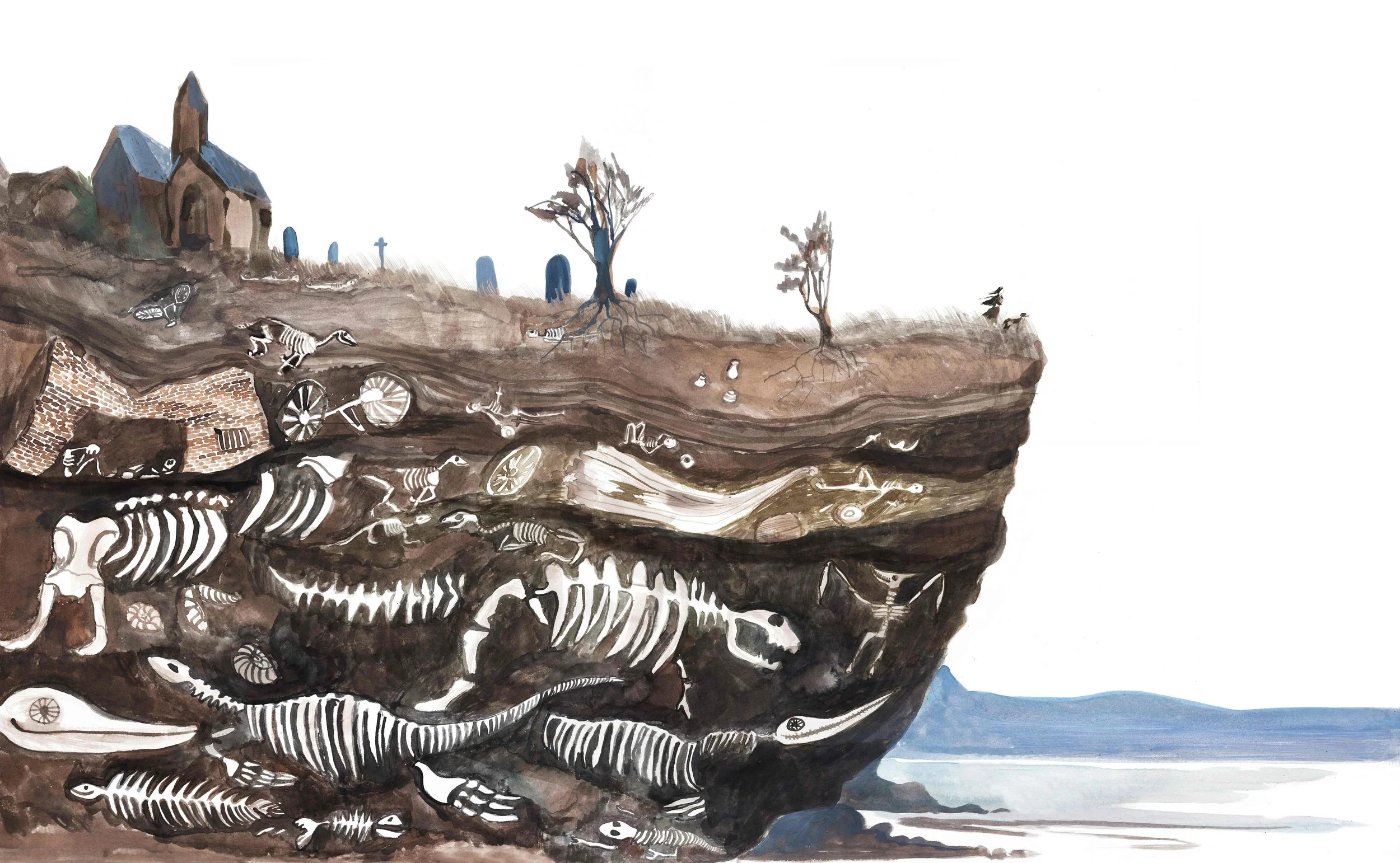 Illustration from The Fossil Hunter by Kate Winter