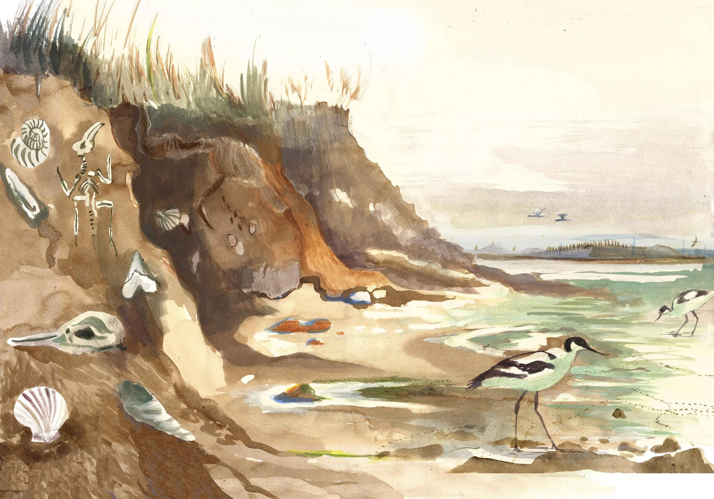  A project at Elmley Nature Reserve to illustrate a poetry collection inspired by the reserve and the symbiotic relationships between the creatures, birds, land and history of Elmley and the swale. 