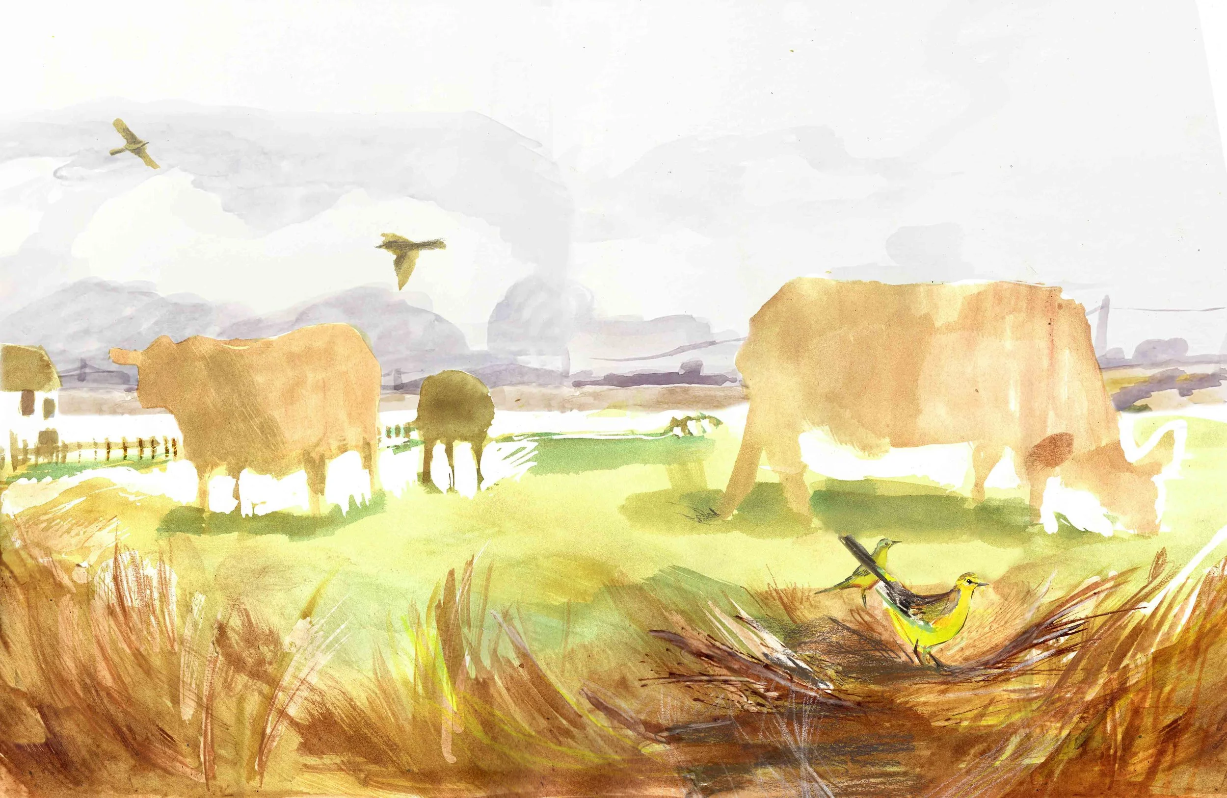 002_Cattle_LOVELL.jpg