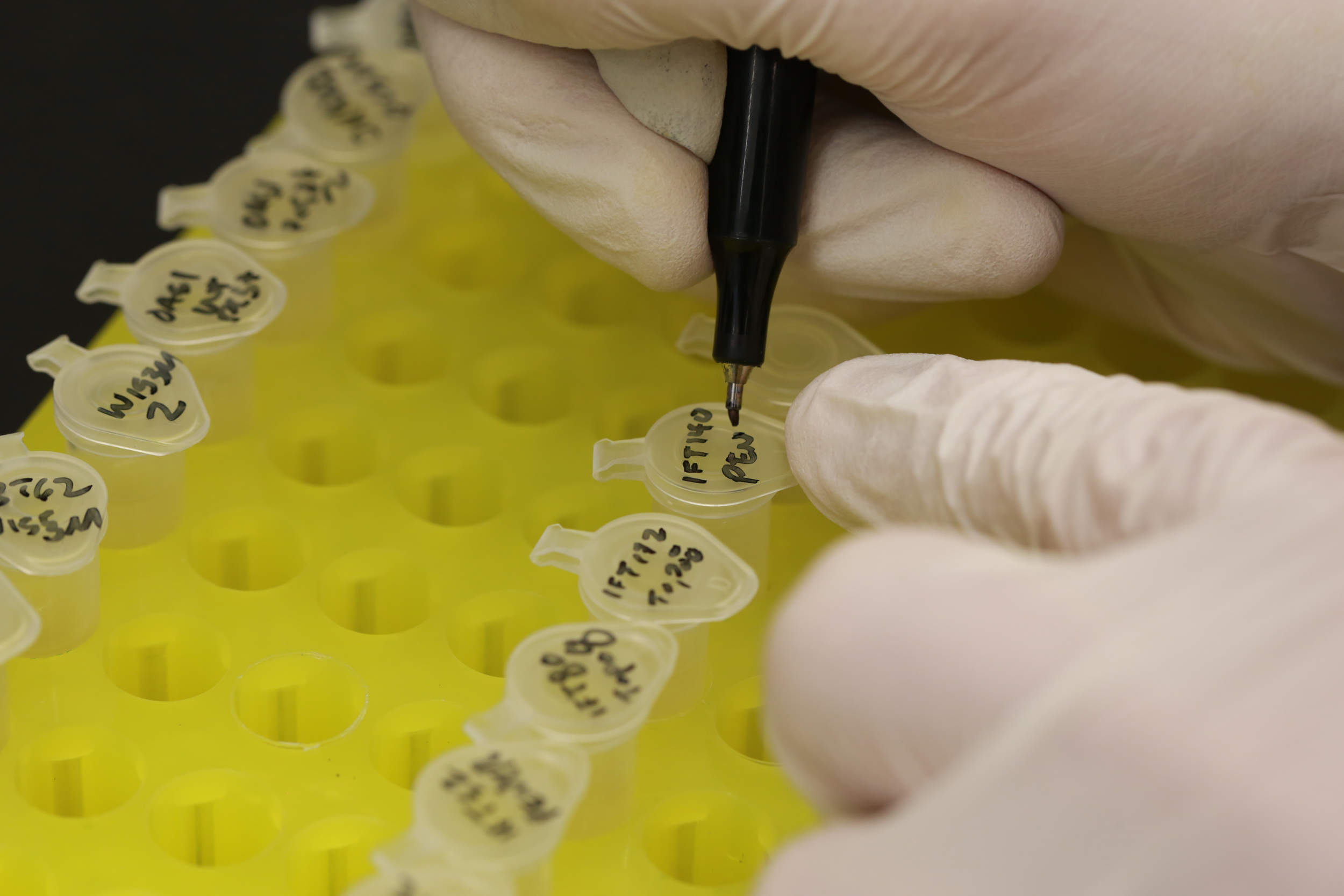 Join our Lab.jpg