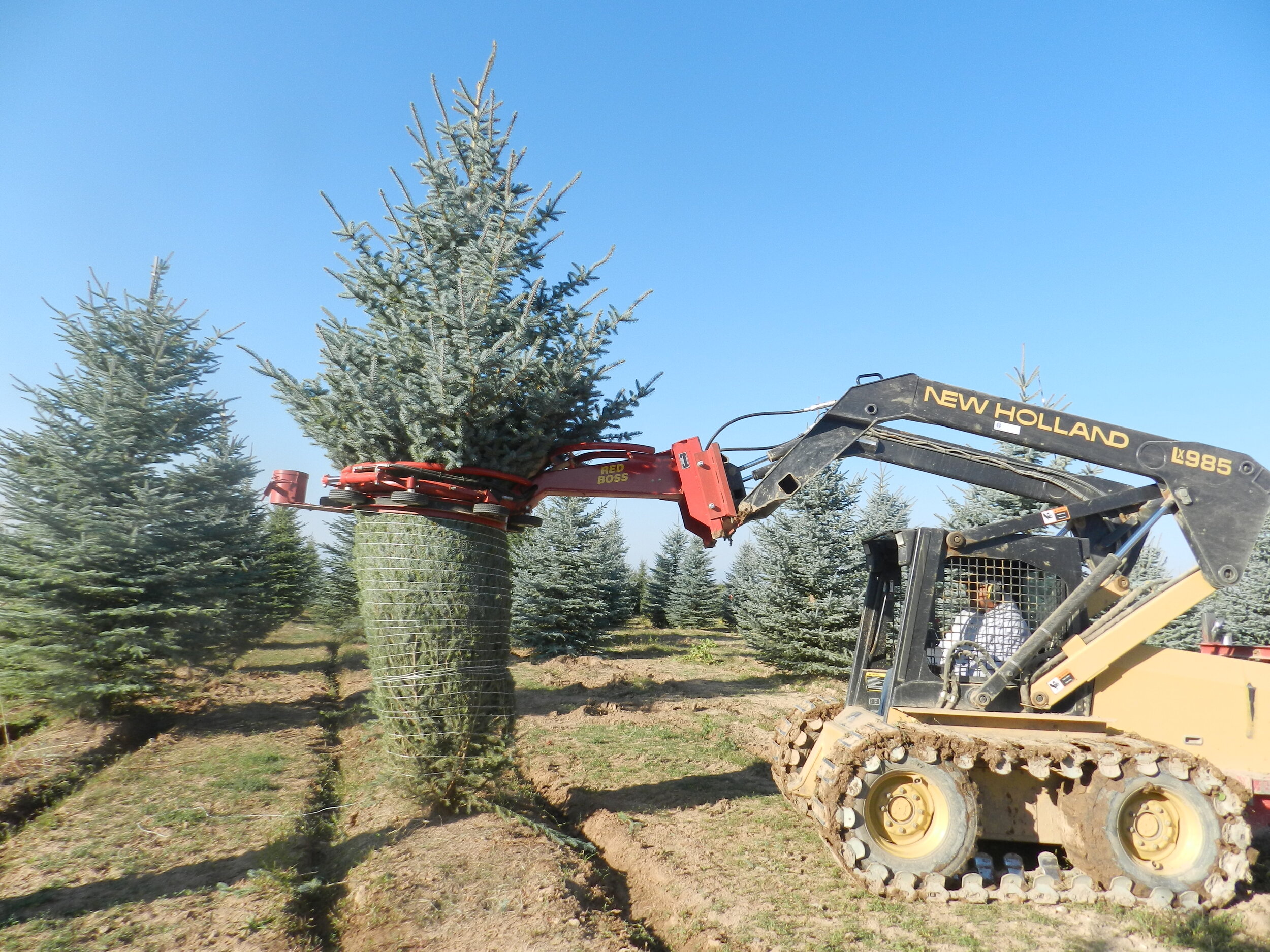 Spruce Point Tree Farm 2.jpg