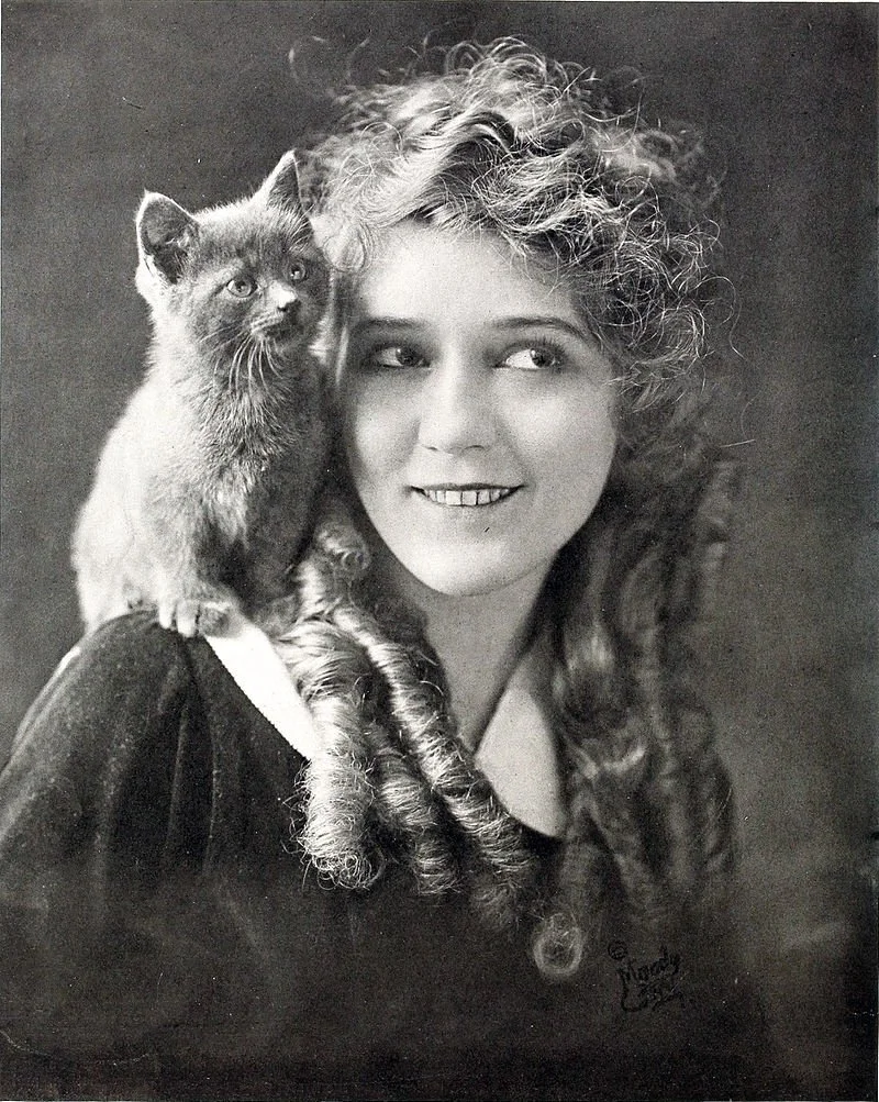 Mary Pickford and a kitten.