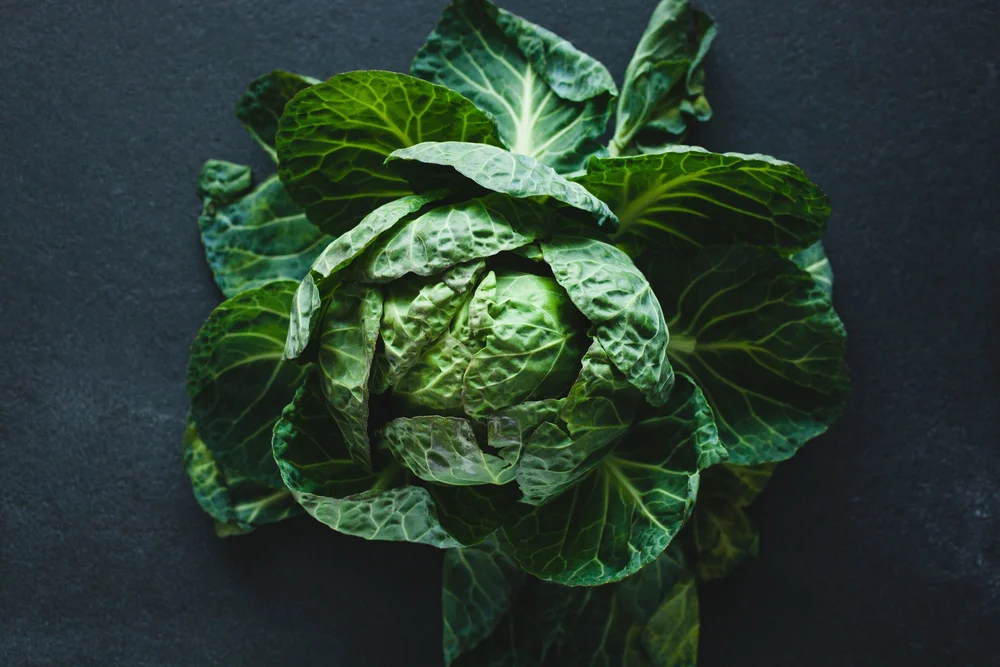 Roasted Brussels Sprout Leaves Of The Dirt