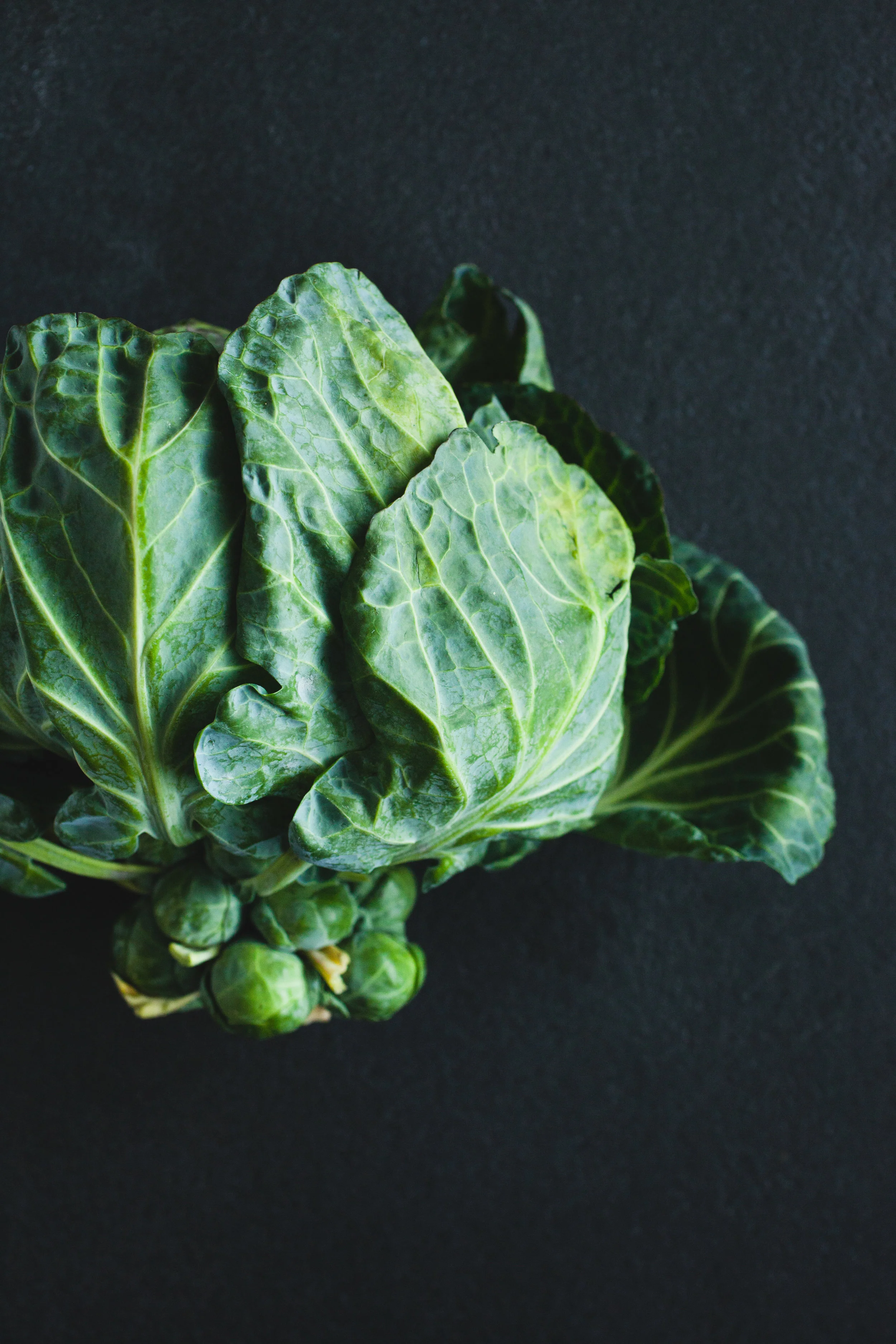 Roasted Brussels Sprout Leaves Recipe