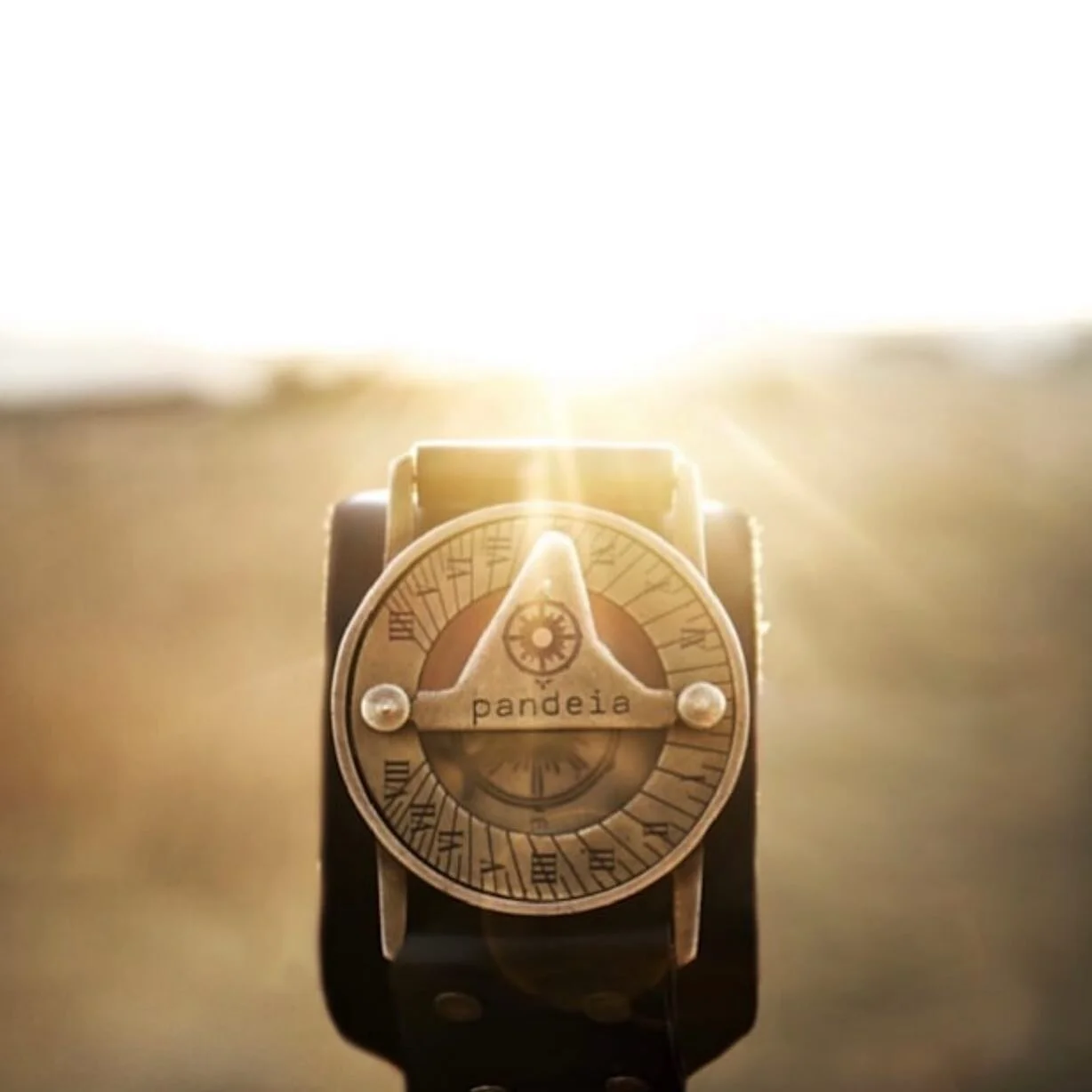 “Keep your face always towards the sunshine and the shadows will fall behind you.” - Walt Whitman