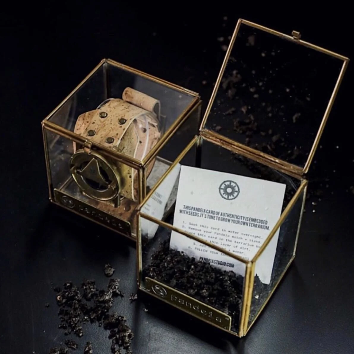 Have you seen your packaging?!
Pandeia compass sundial watch come beautifully packaged in a reusable glass terrarium box with a plantable card of authenticity. 
May you always stay growing and enjoy this adventure we call life.
Get your wearable r