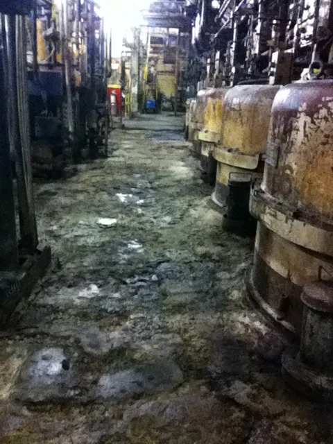 Before | Sugar Beet Plant