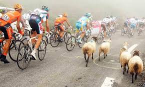 You never know what can happen in a race so you better keep your head up
