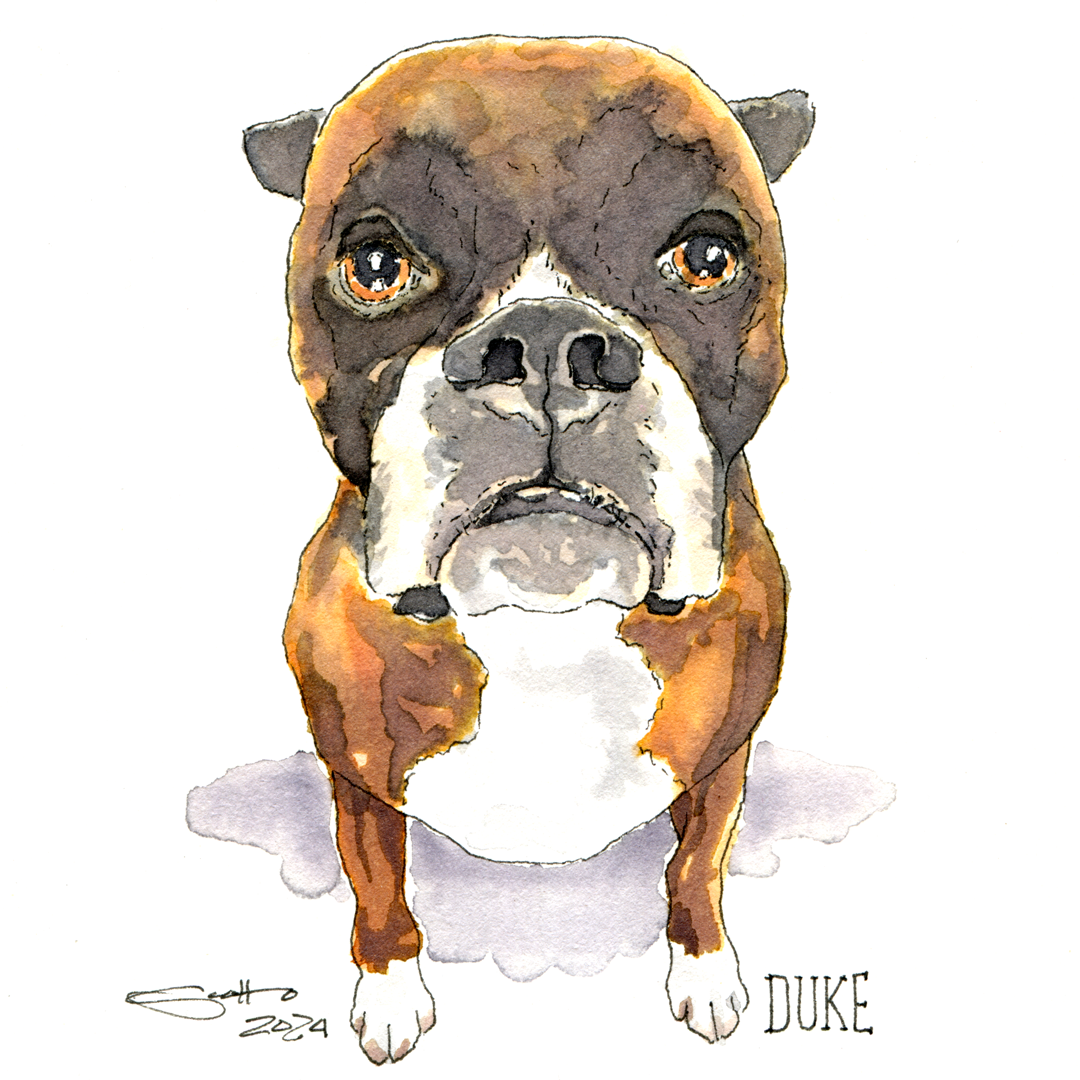 Illus-Gallery_Duke_01.png