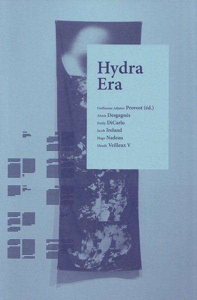 A Present, Which I Have Been, 2011 (book chapter)