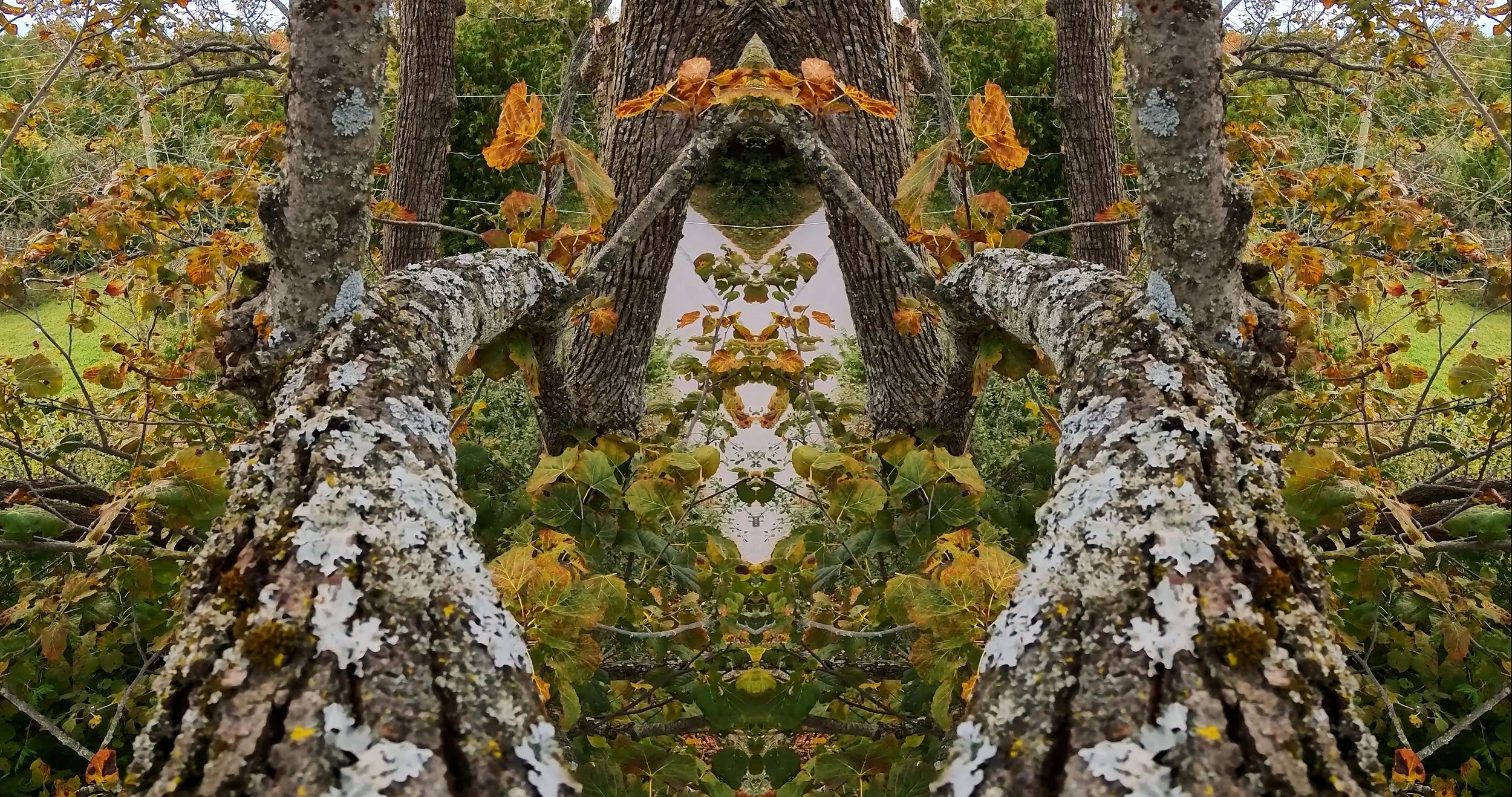 12_Emily DiCarlo_The Futurity Race 2025_La Band Video promo_April 16 2025.jpg