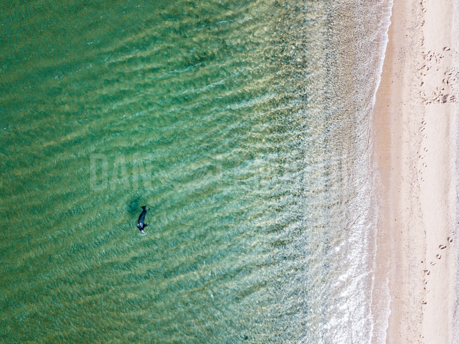 DJI_0027.jpg